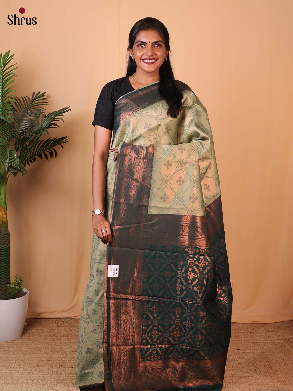 Pastel Green & Green - Semi Softsilk Saree