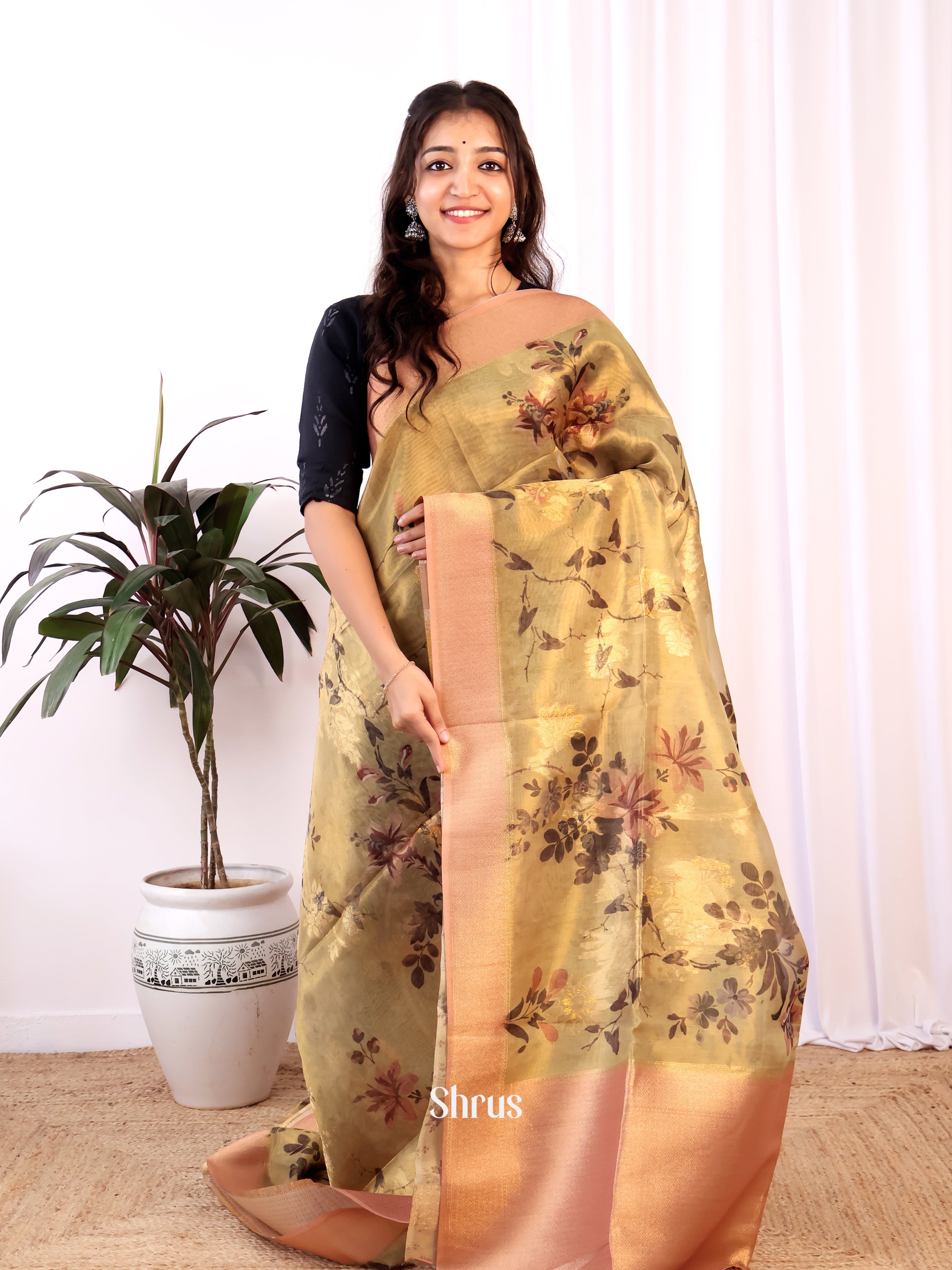 Gold & Brown - Semi Tissue Saree