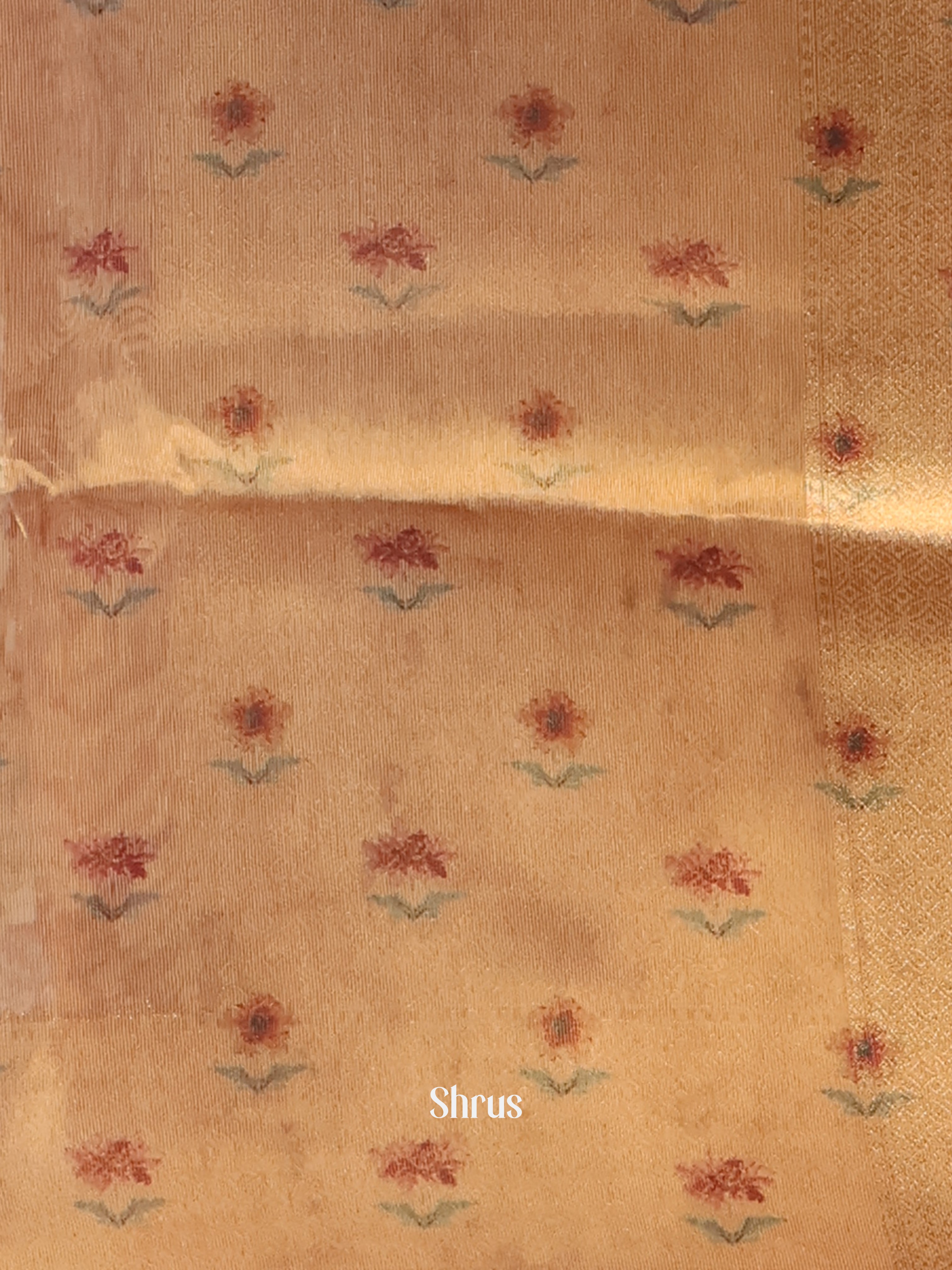 Gold & Brown - Semi Tissue Saree