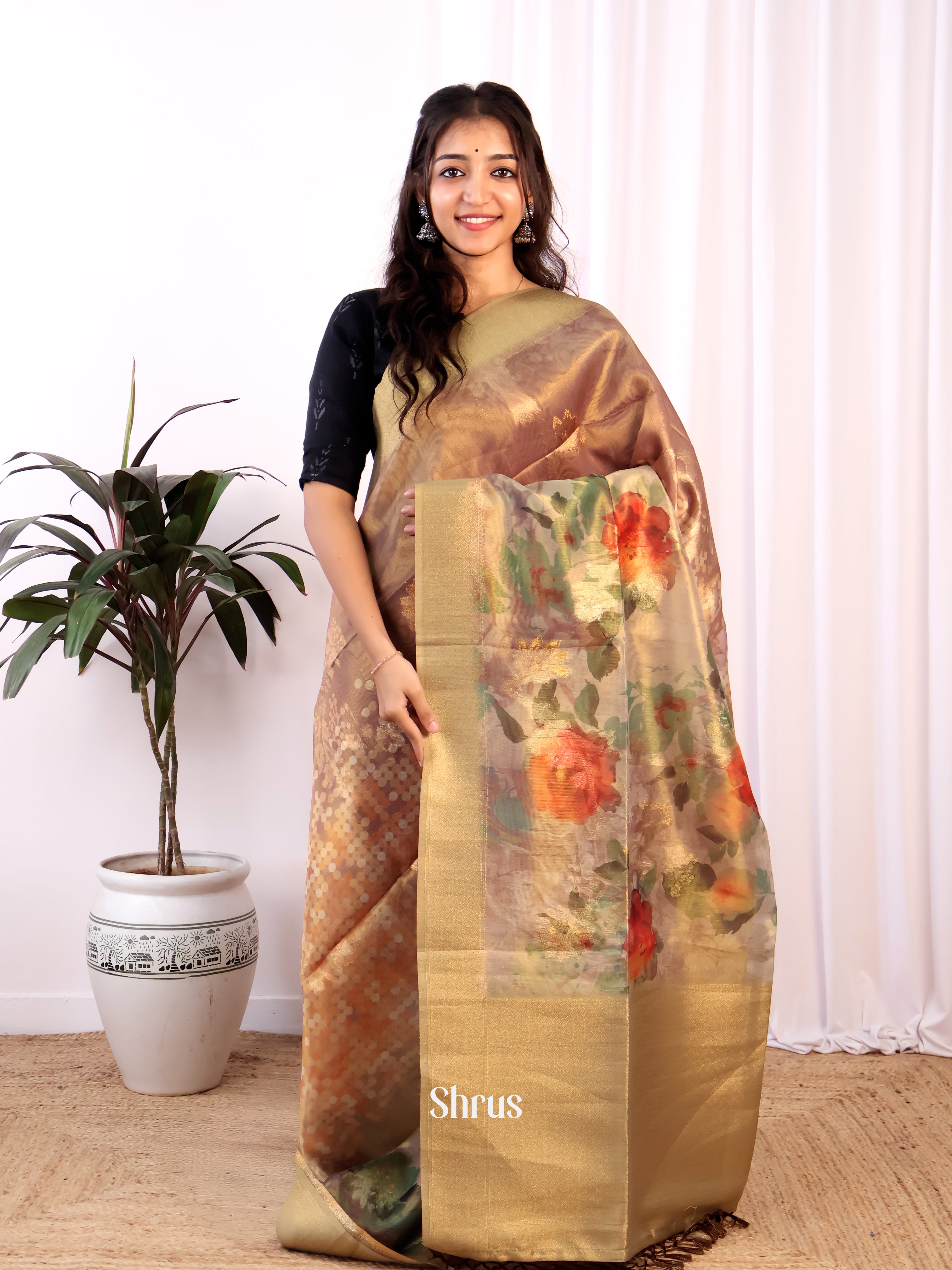 Brown  - Semi Tissue Saree