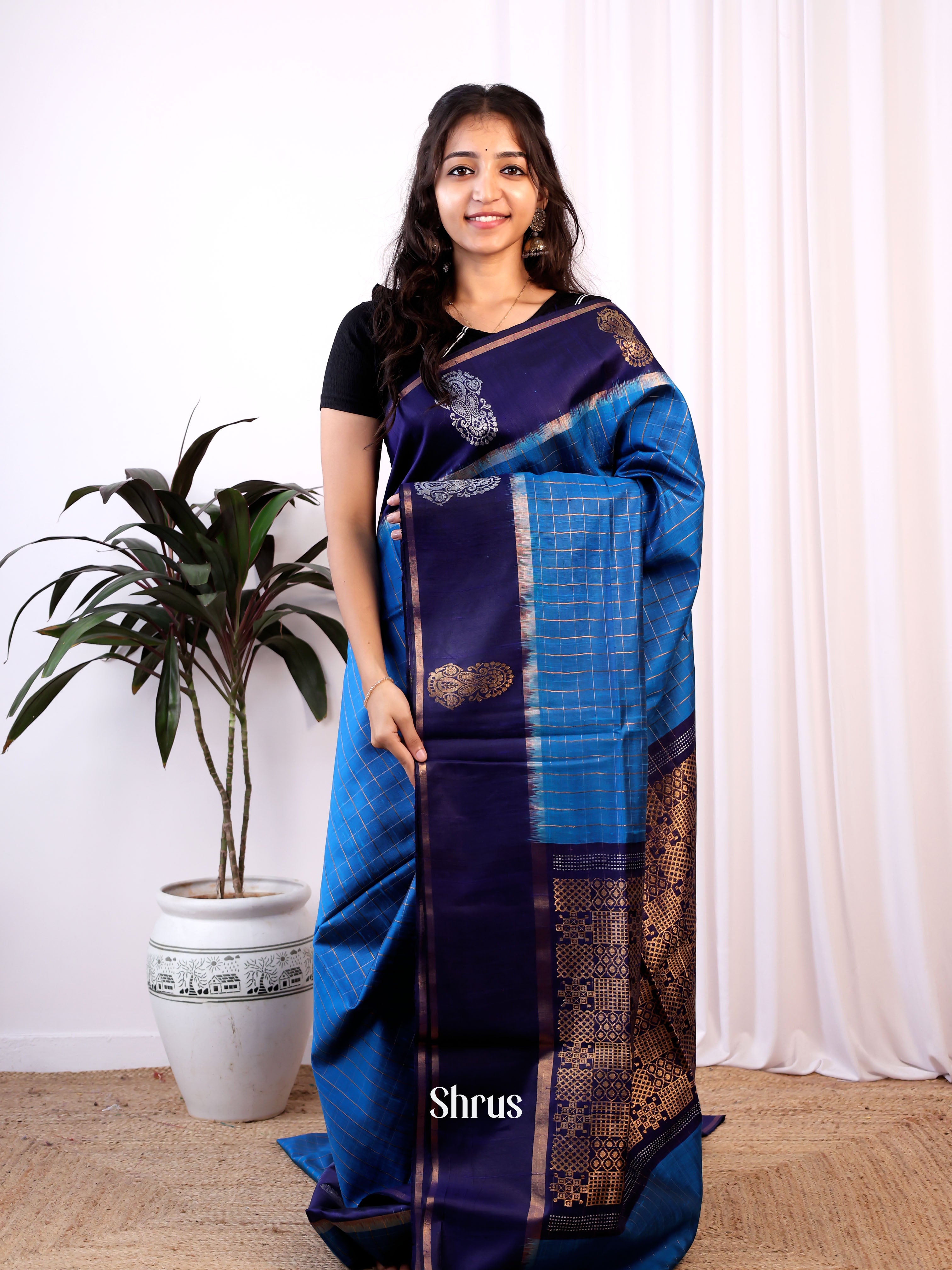 Blue & Navy Blue - Raw Silk Saree