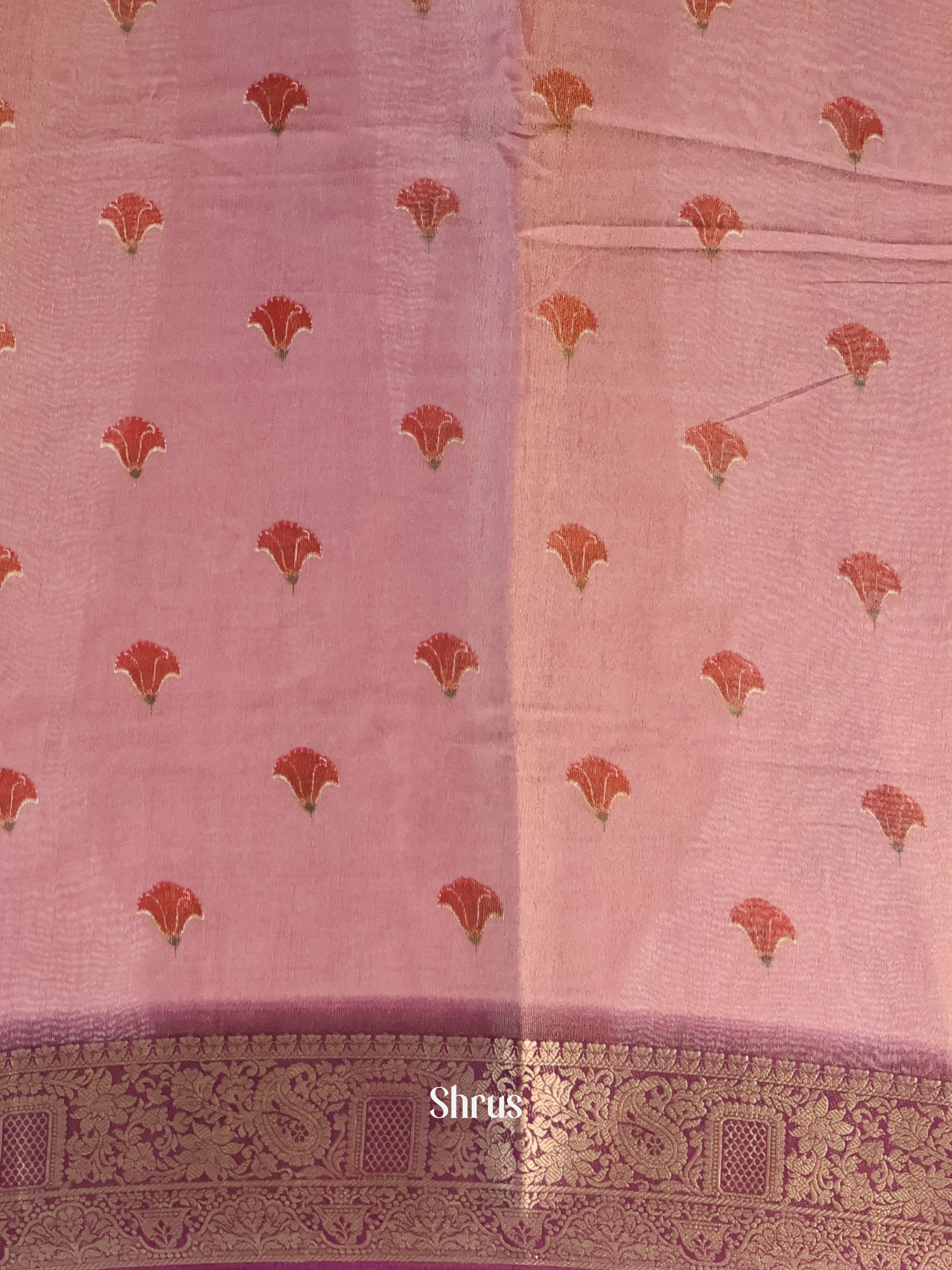 Pink - Semi Tissue Saree