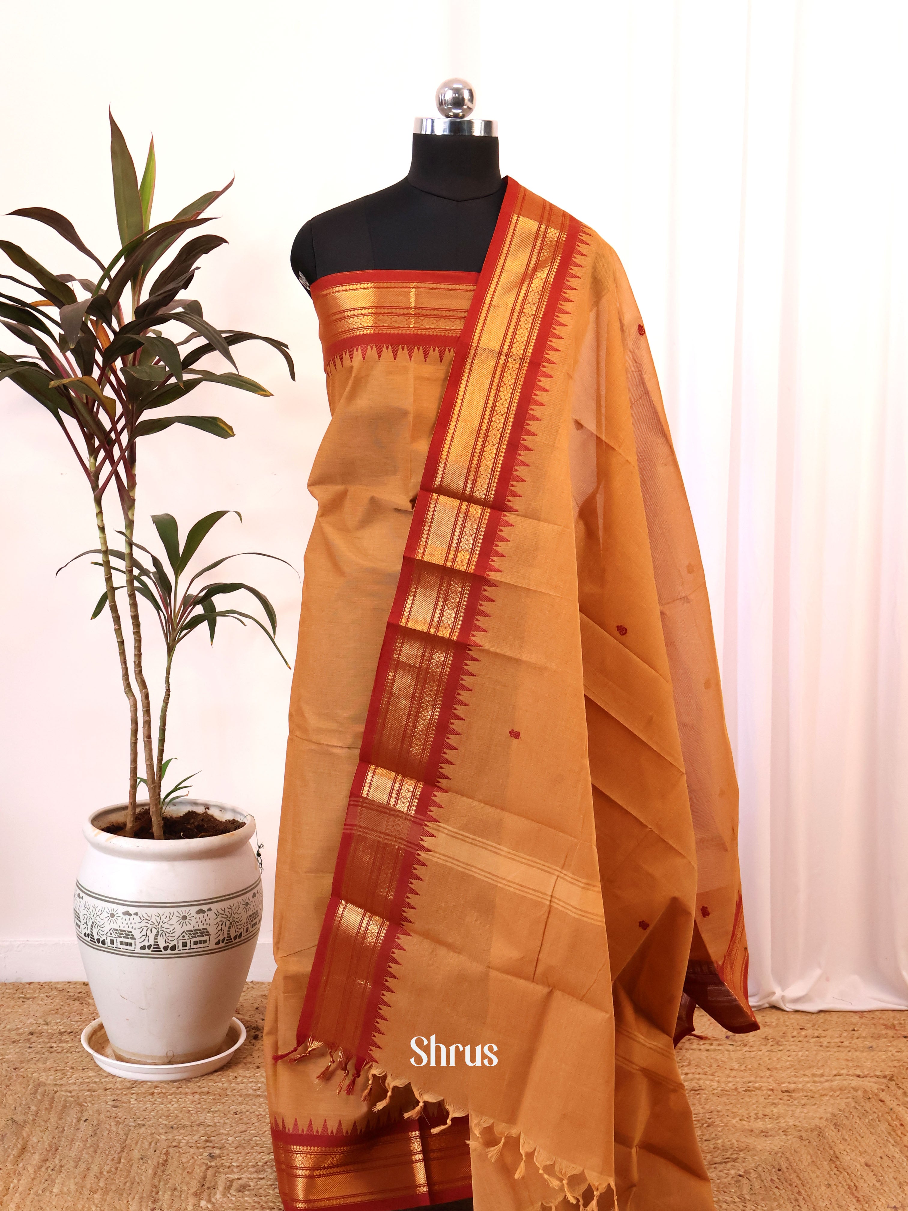 Brown & Red - chettinad top & dupatta combo