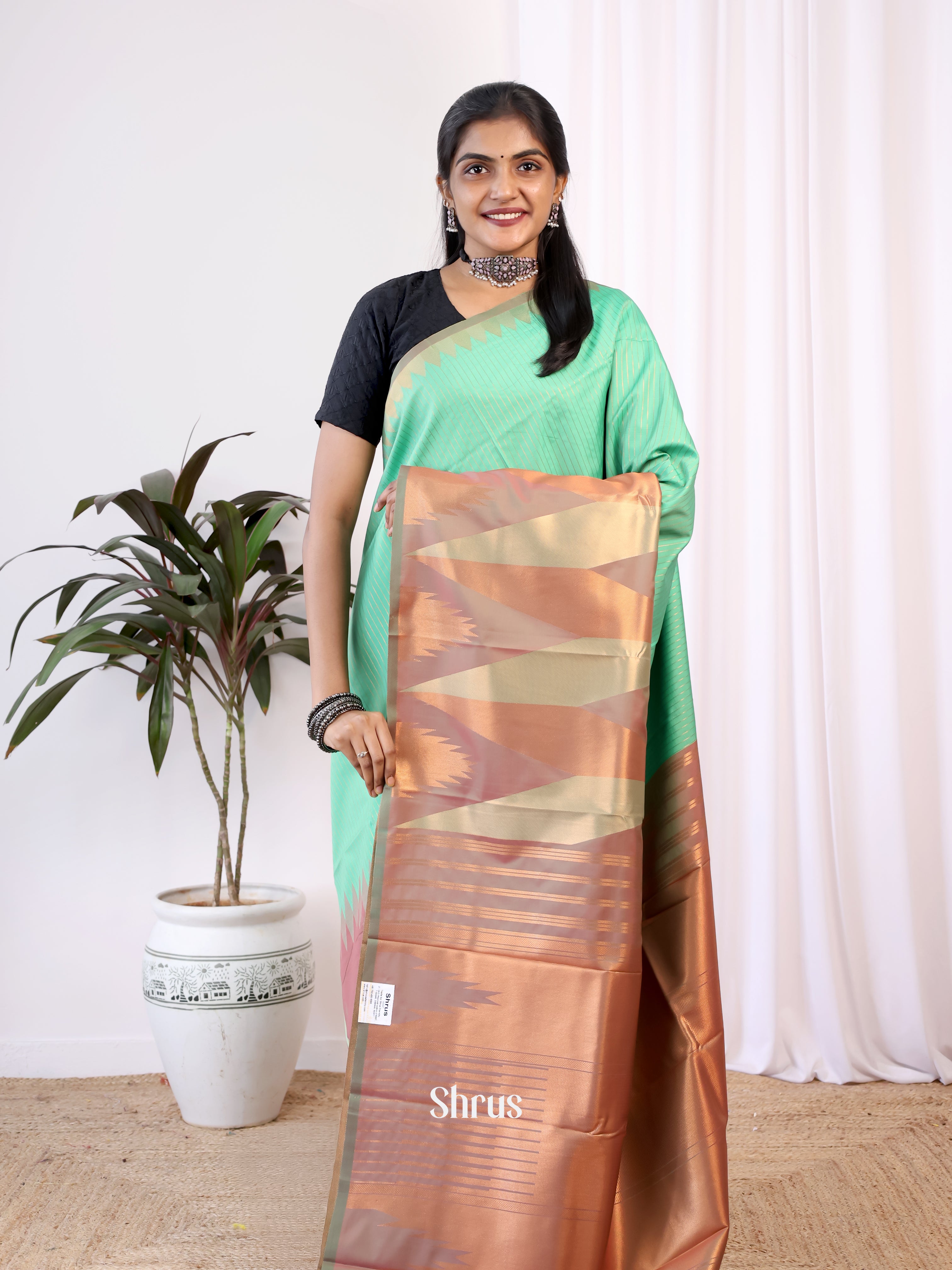 Pastel Green & Brown - Semi Kanchipuram Saree