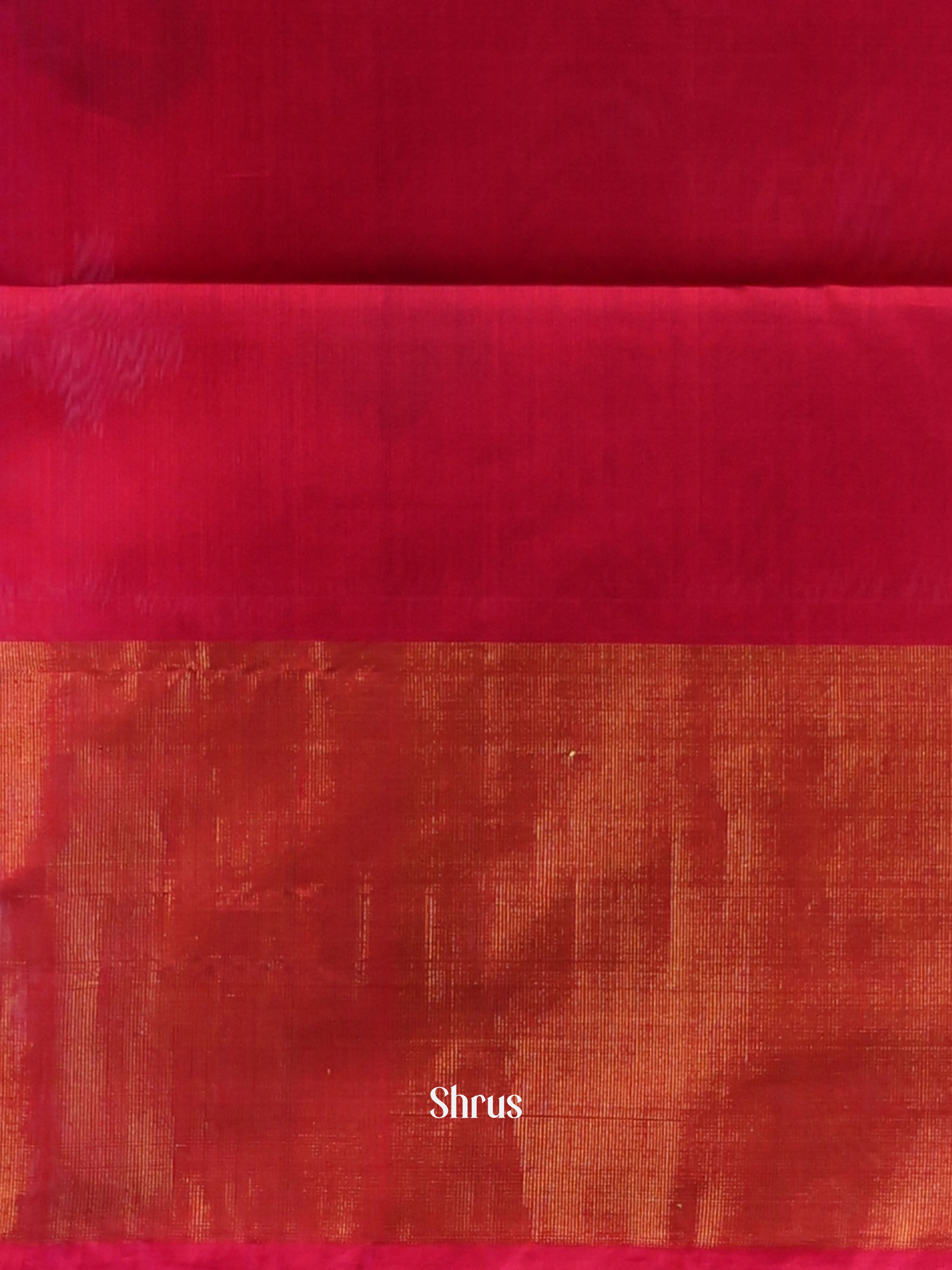 CJS09790 - Pochampally sico Saree