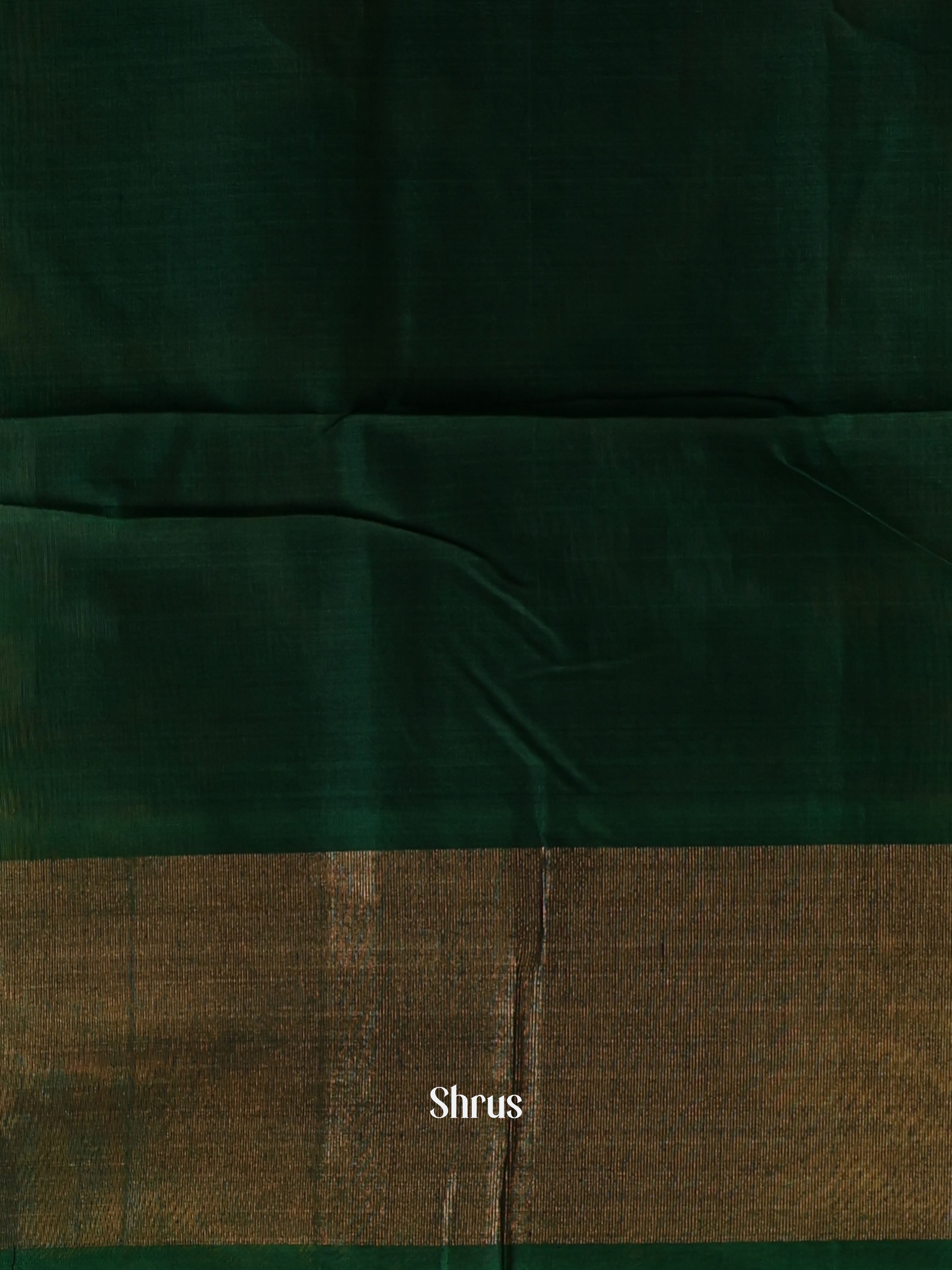 Brown & Green - Pochampally sico Saree