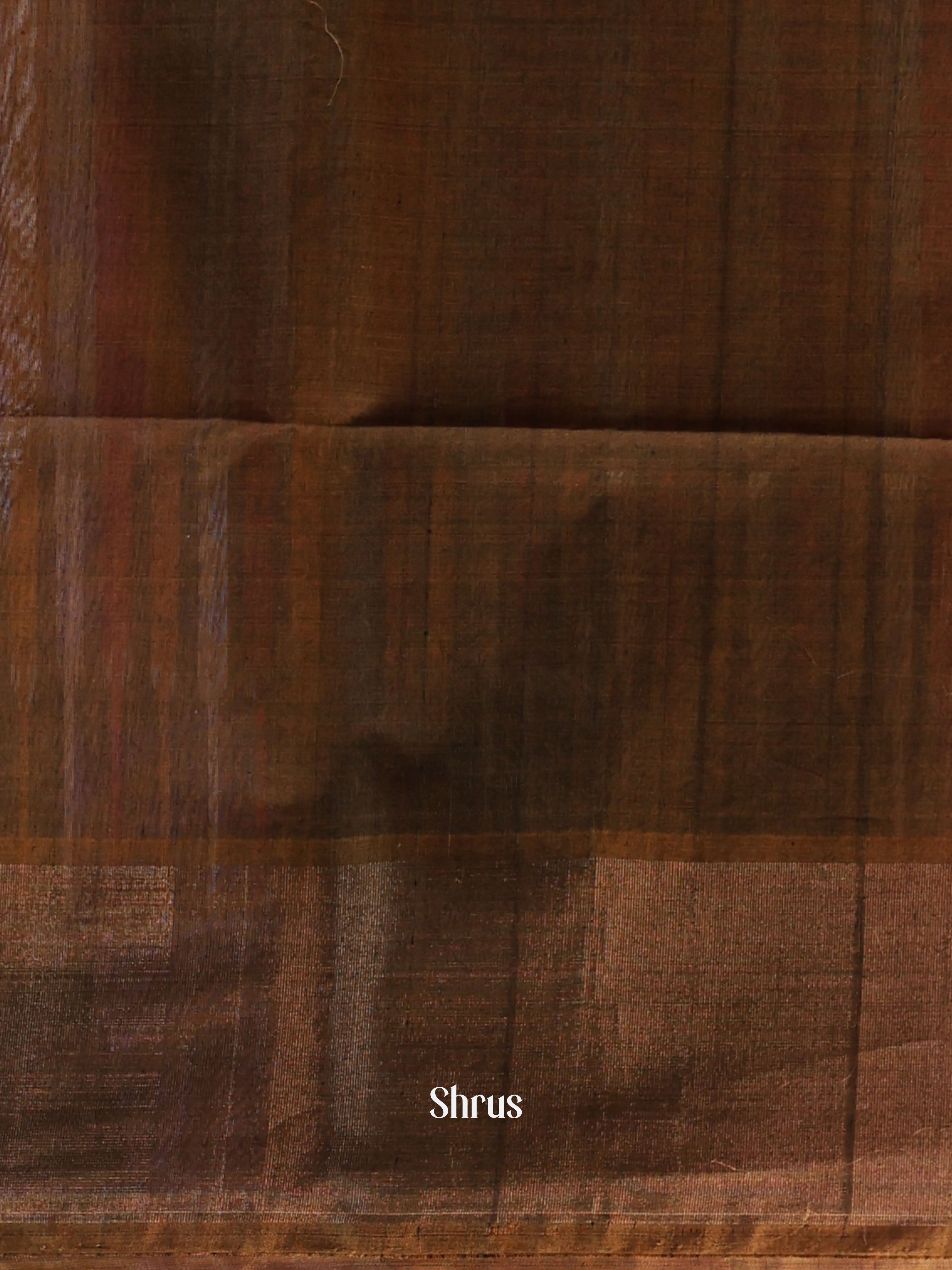 Black & Brown- Pochampally sico Saree