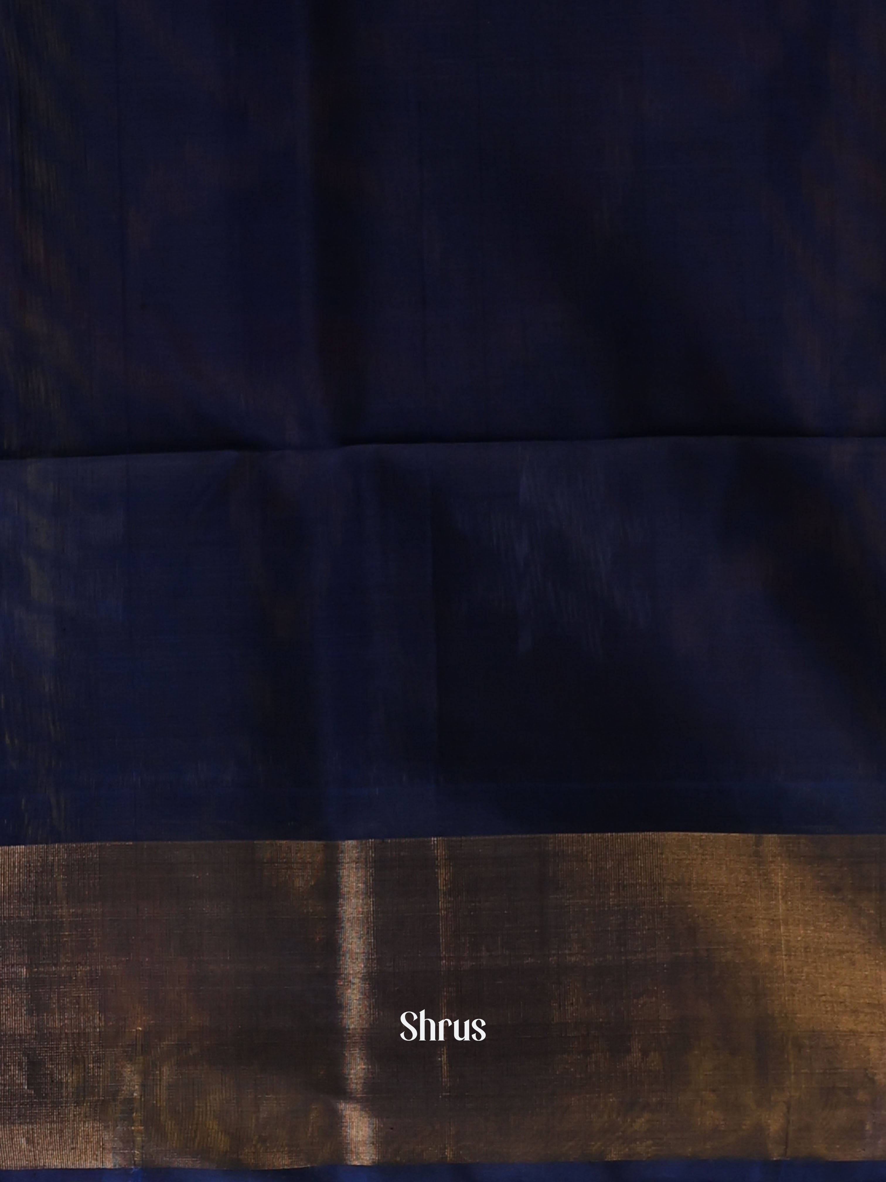 Brick  & Blue - Pochampally sico Saree