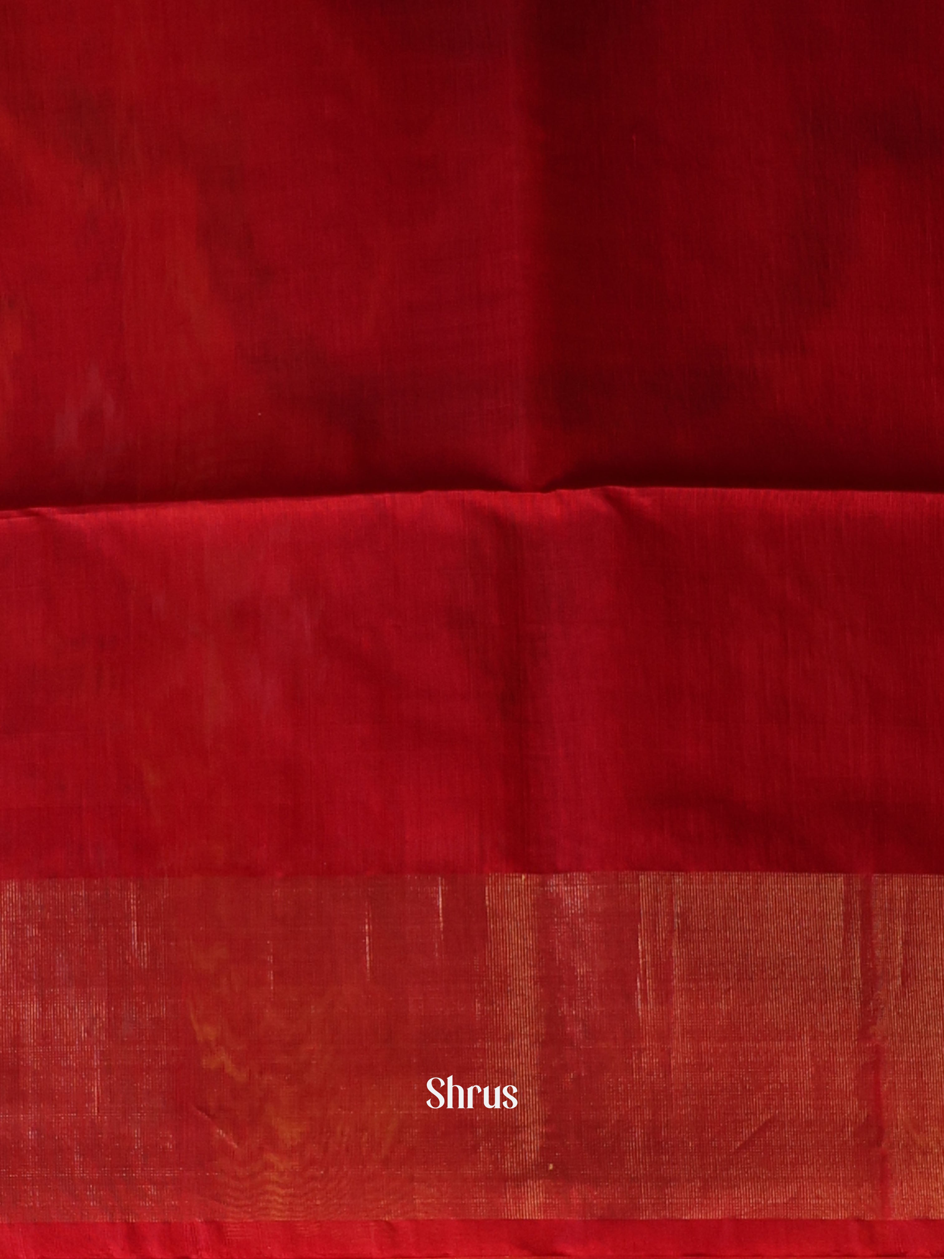 Blue & Red  - Pochampally sico Saree