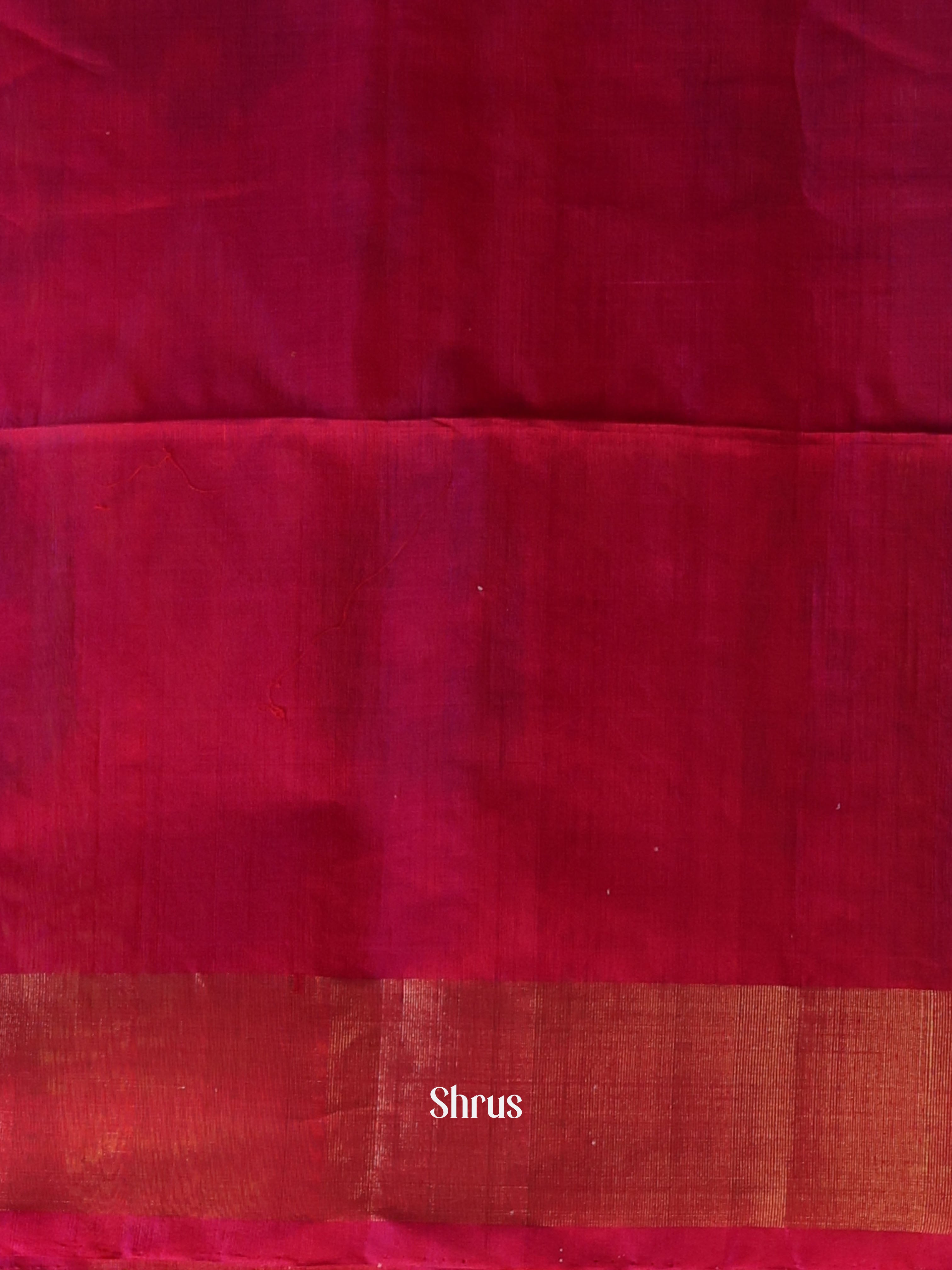 CJS09866 - Pochampally sico Saree