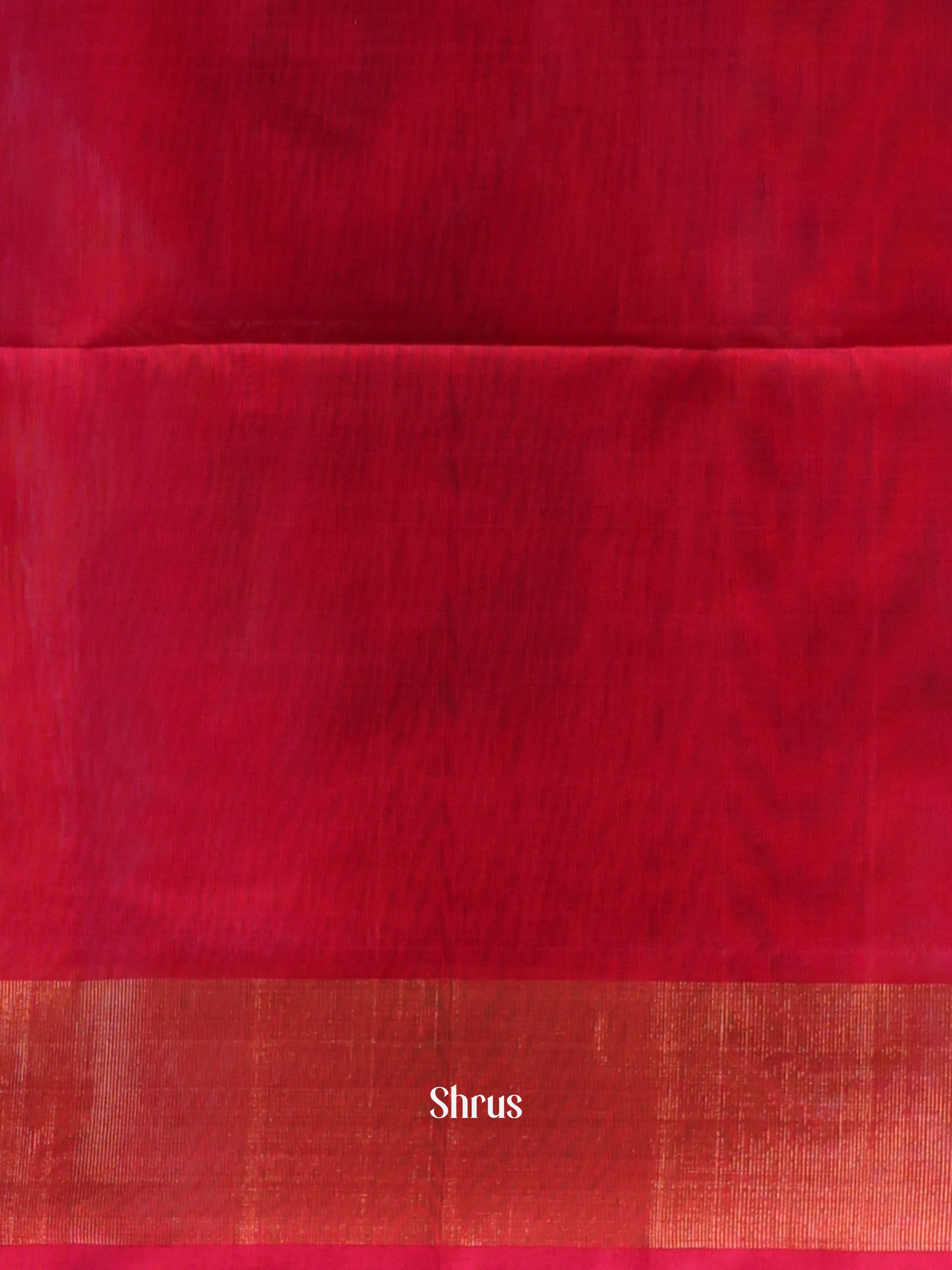 Cream & Red - Pochampally sico Saree