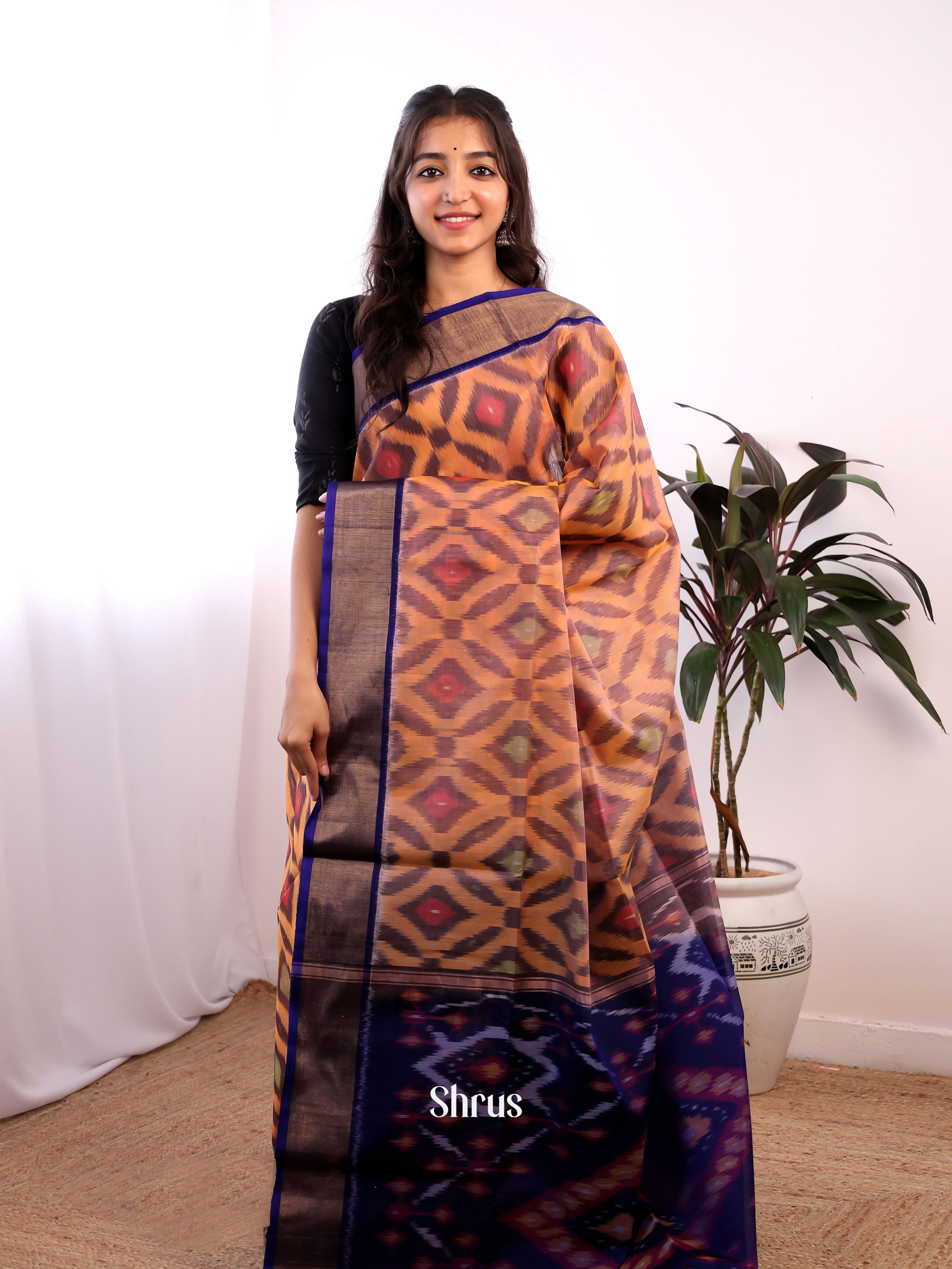 Brown & Blue - Pochampally sico Saree