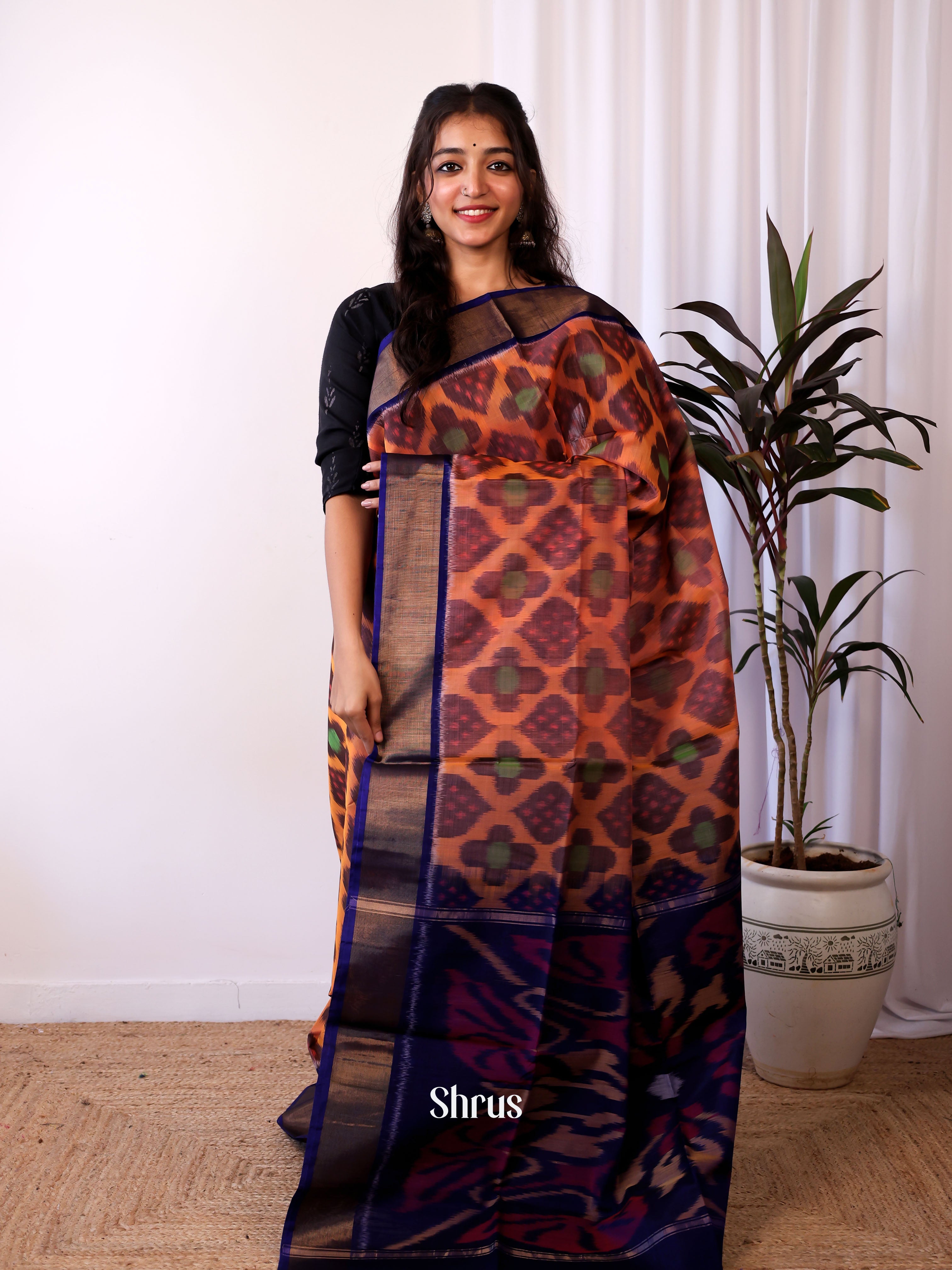 Brown & Violet - Pochampally sico Saree