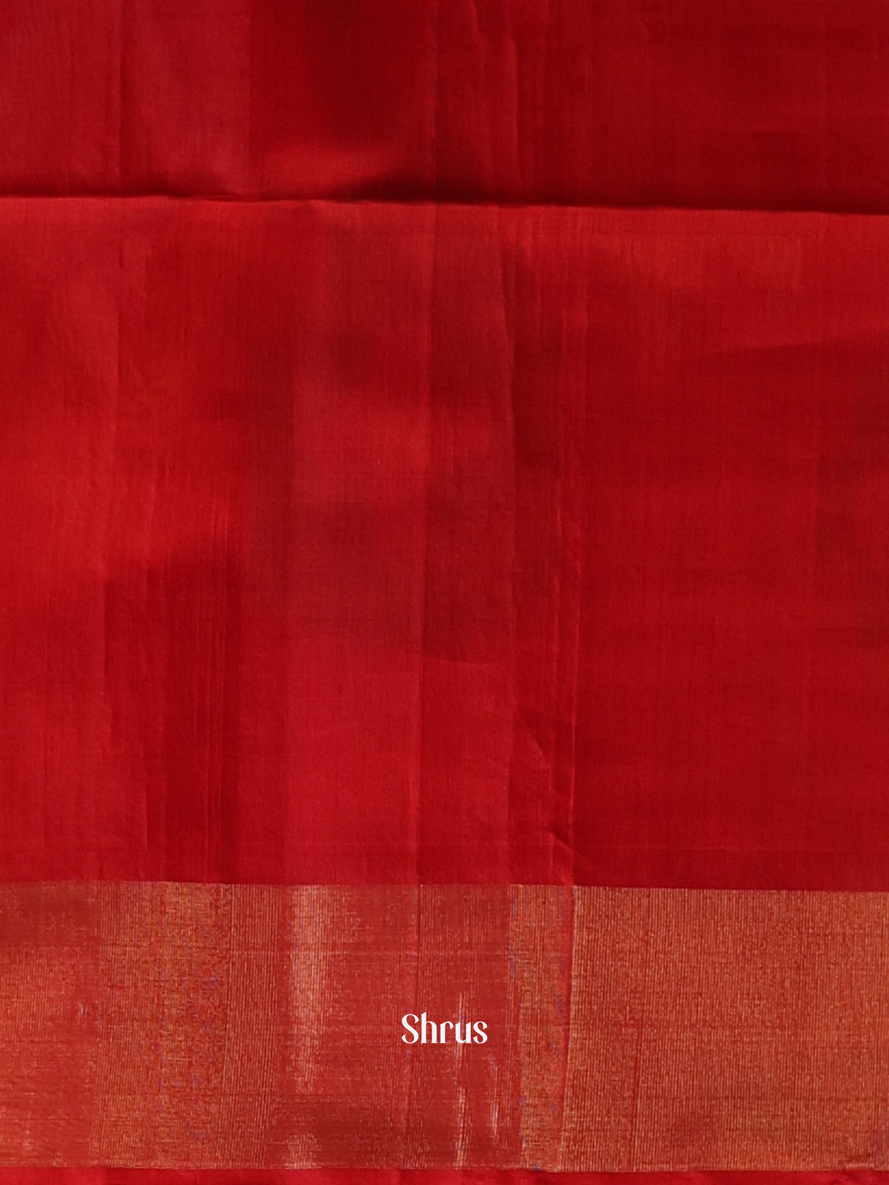 CJS09901 - Pochampally sico Saree