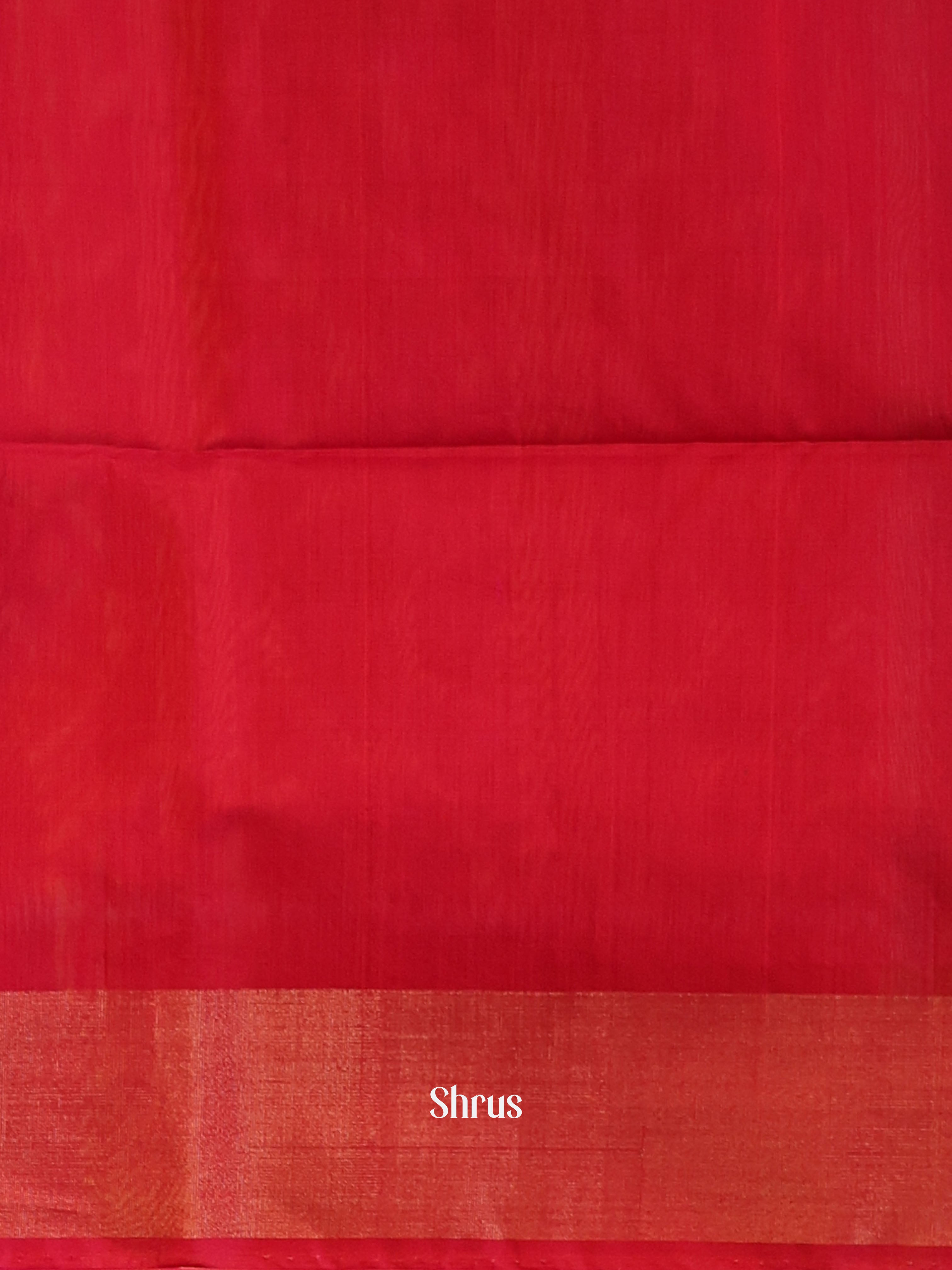 CJS09902 - Pochampally sico Saree