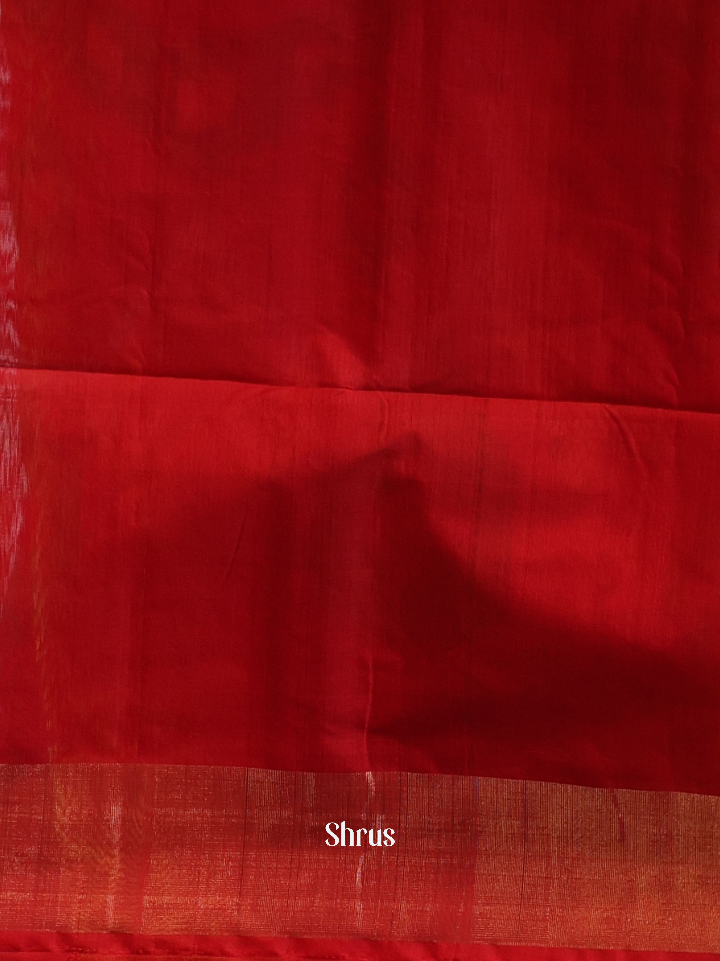 CJS09903 - Pochampally sico Saree