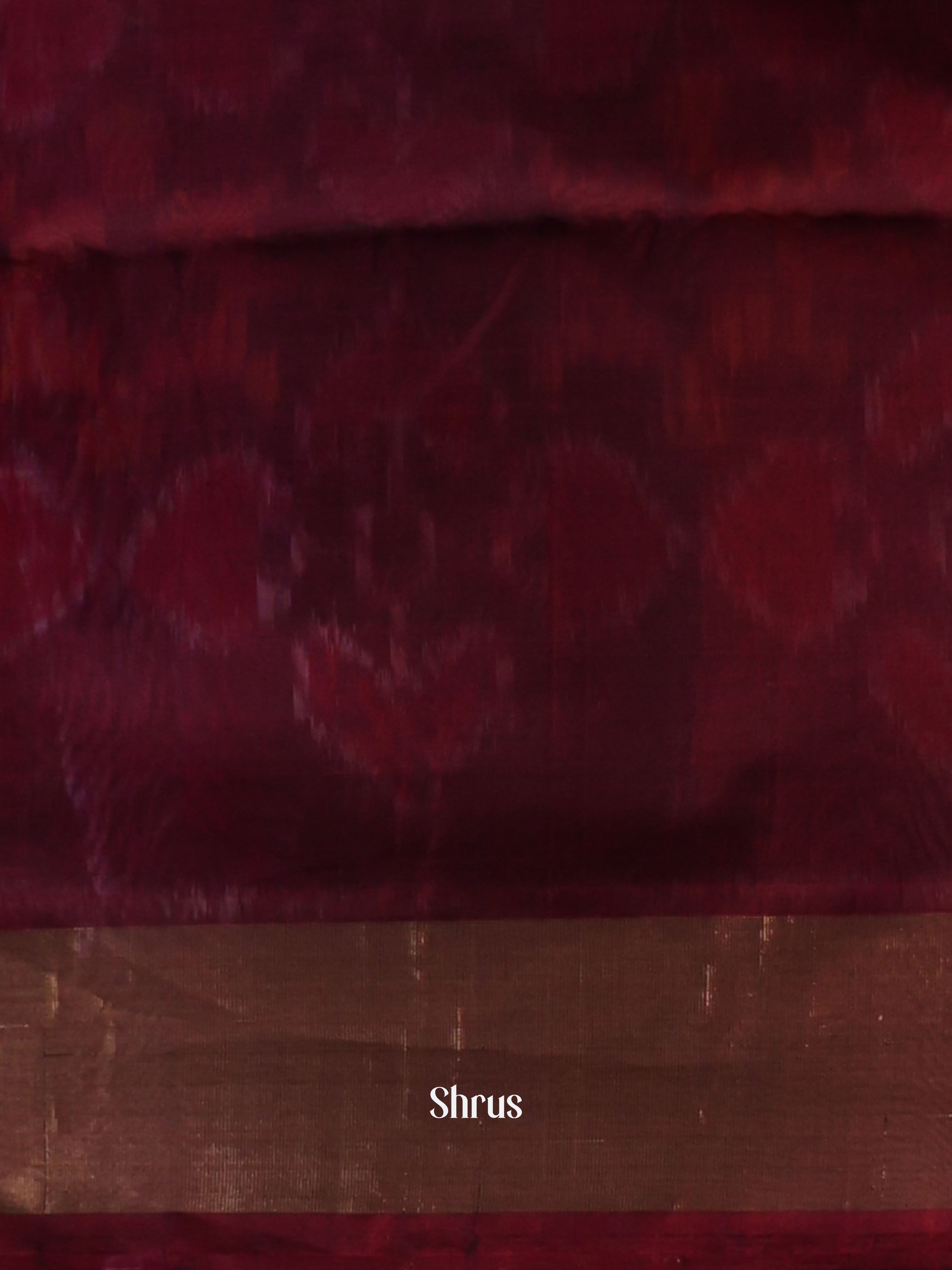 CJS09907 - Pochampally sico Saree