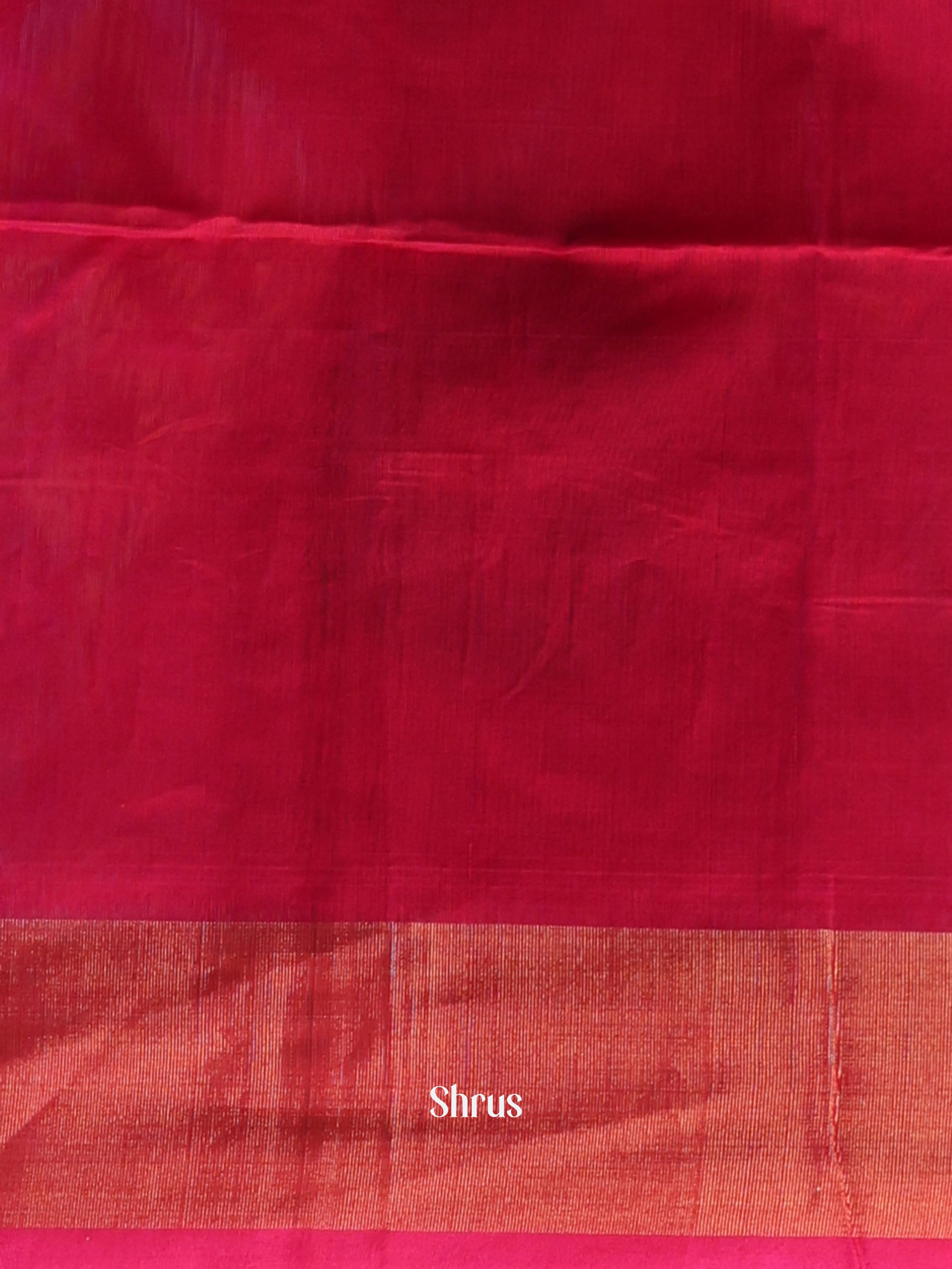 CJS09911 - Pochampally sico Saree