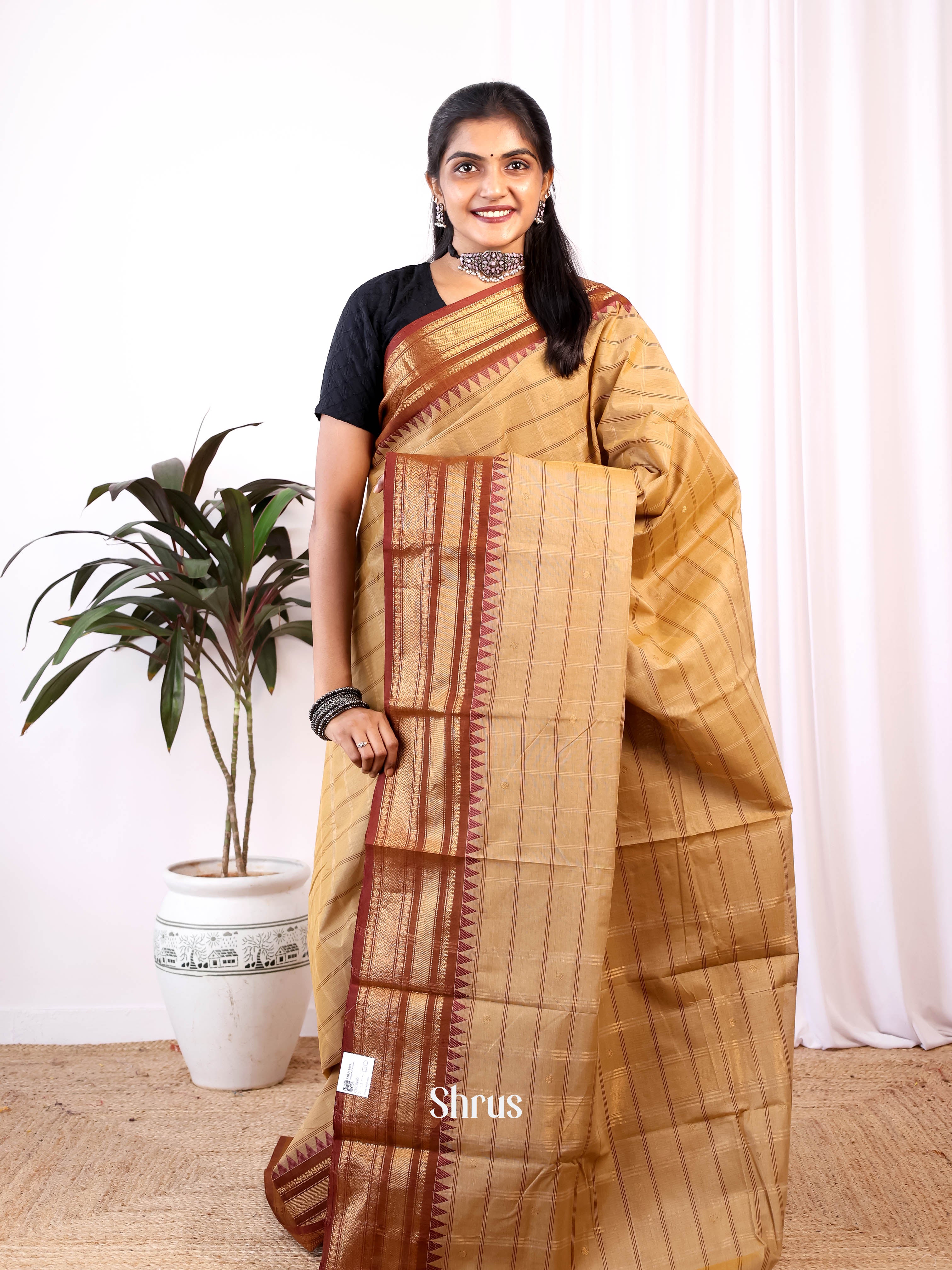 Beige & Brown - Chettinad Cotton Saree