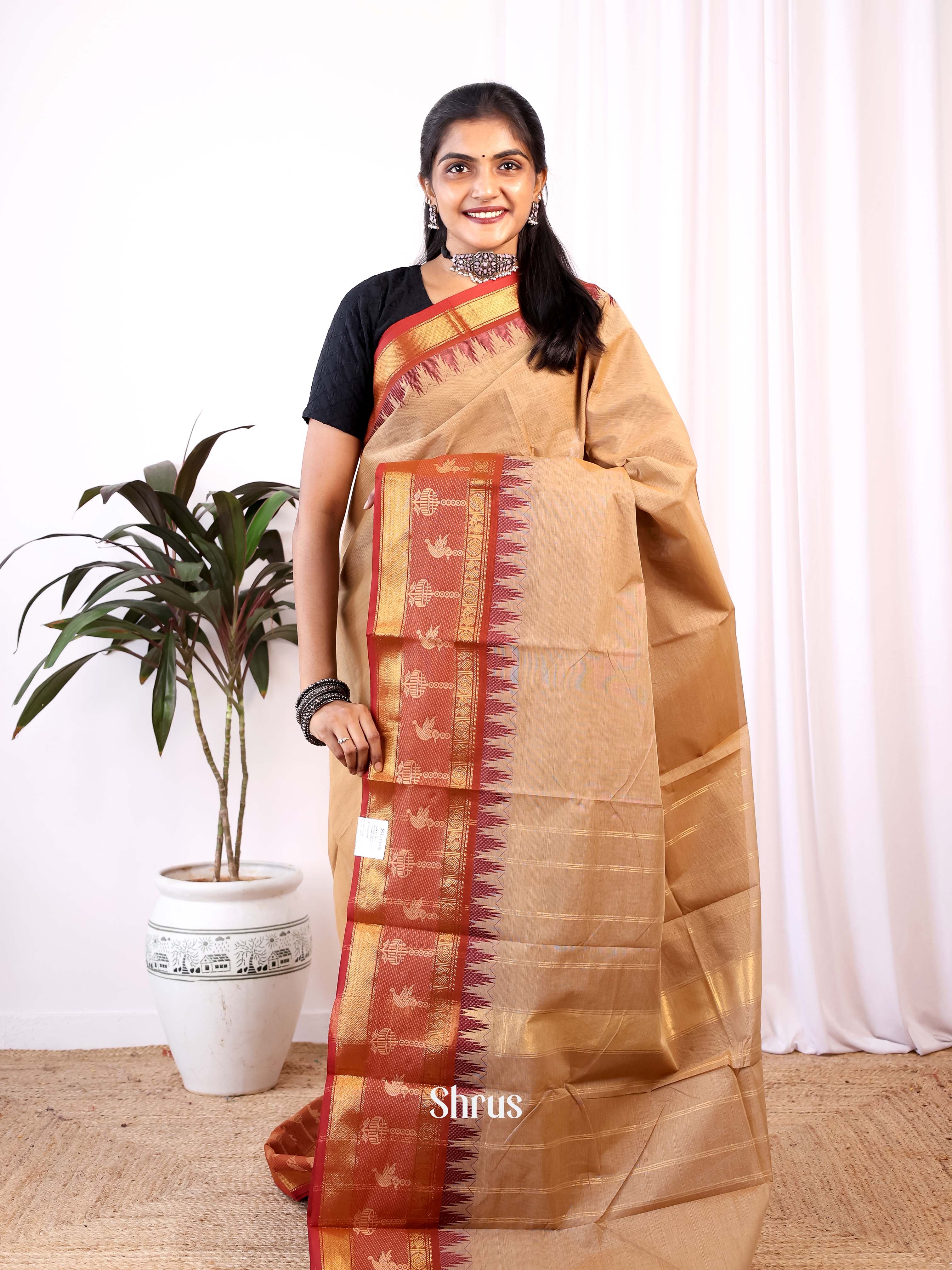 Brown & Red - Chettinad Cotton Saree