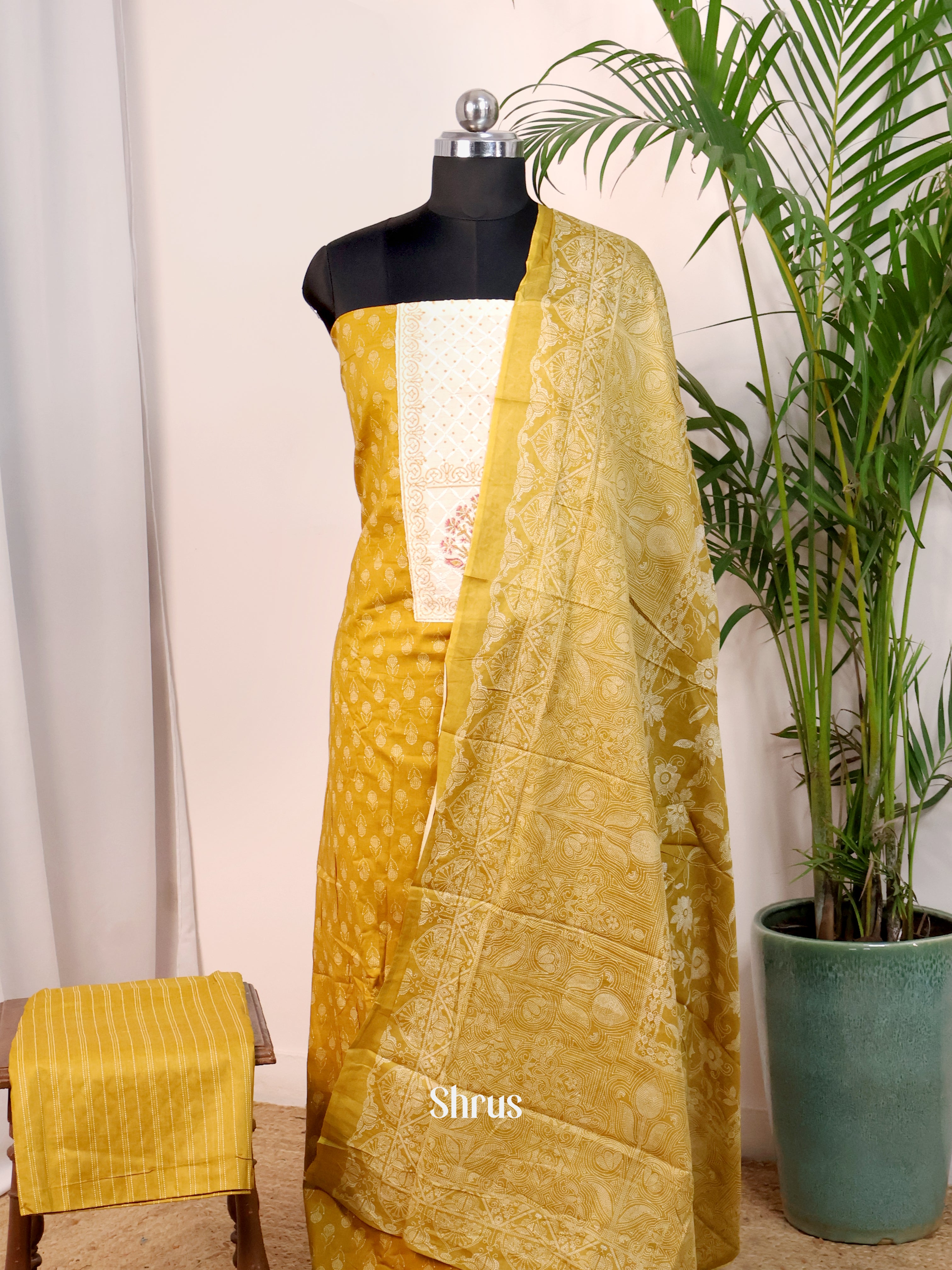 Mustard & Cream - Cotton salwar