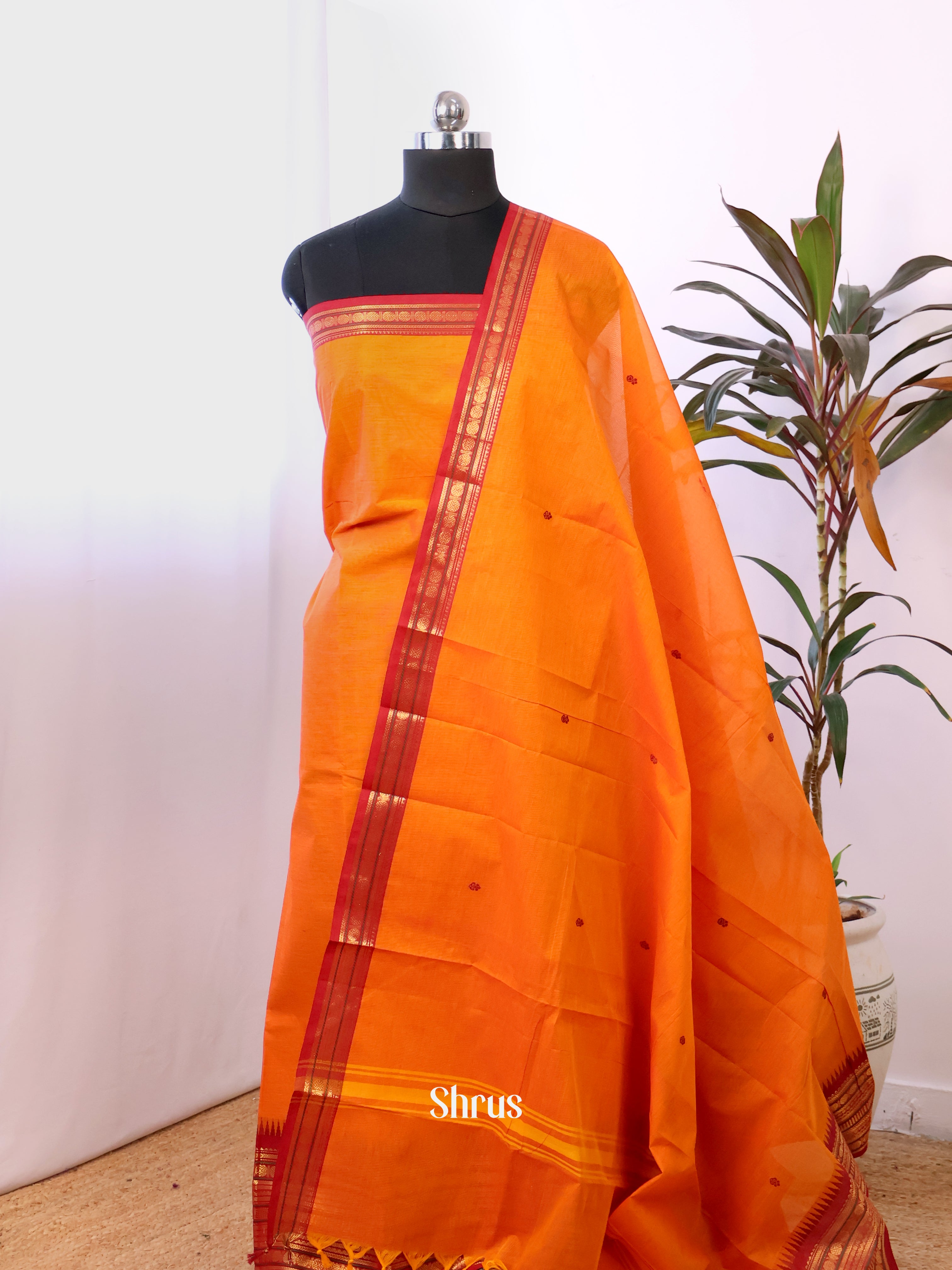 CJS14207 - chettinad top & dupatta combo