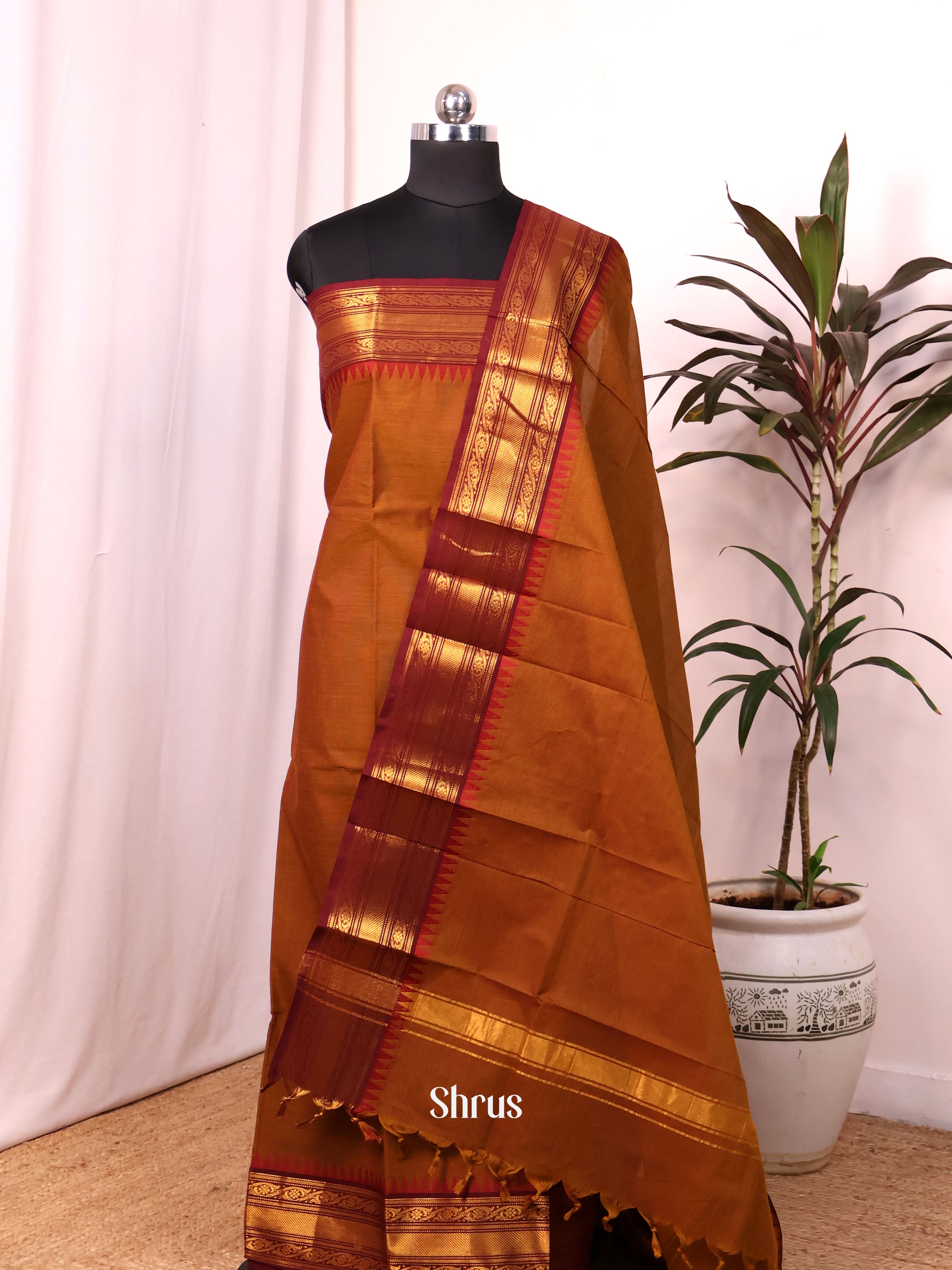 Golden Brown & Brown - chettinad top & dupatta combo