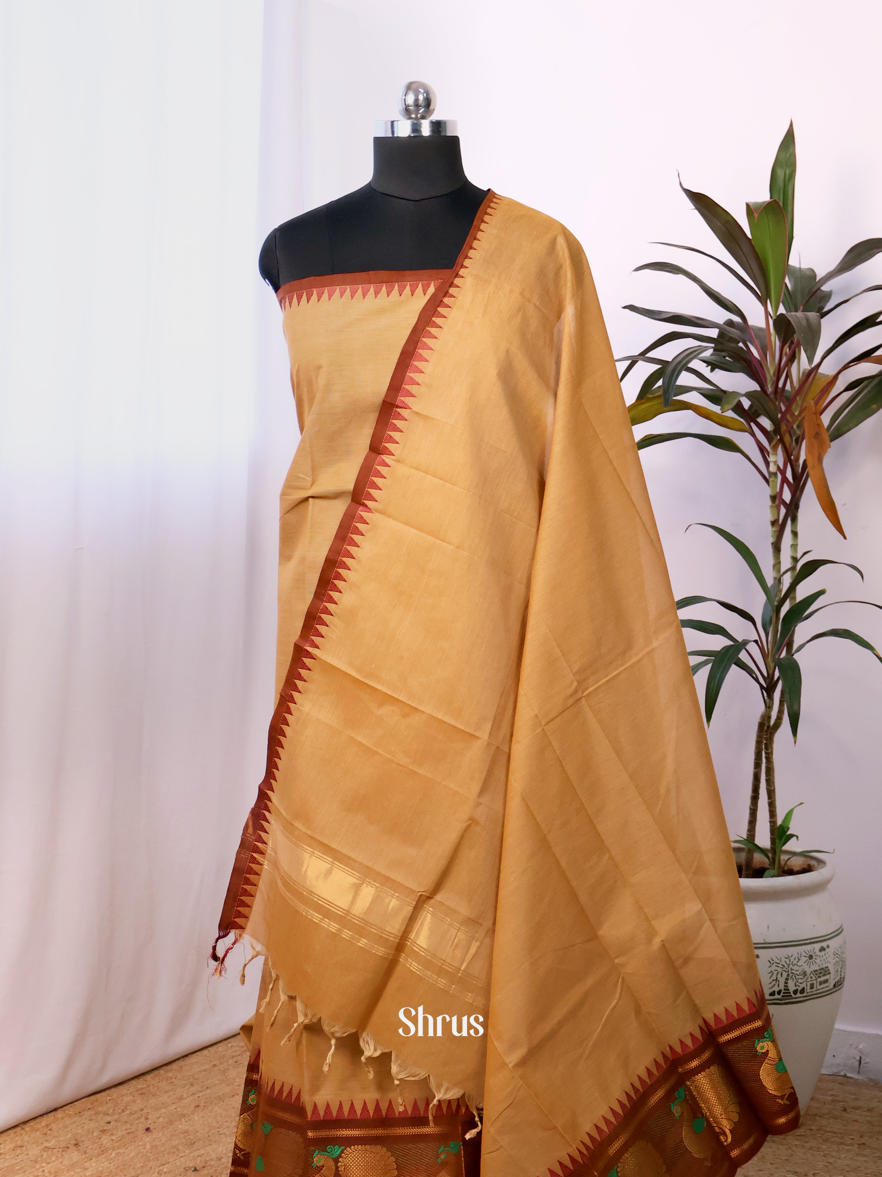 Beige & Brown - chettinad top & dupatta combo