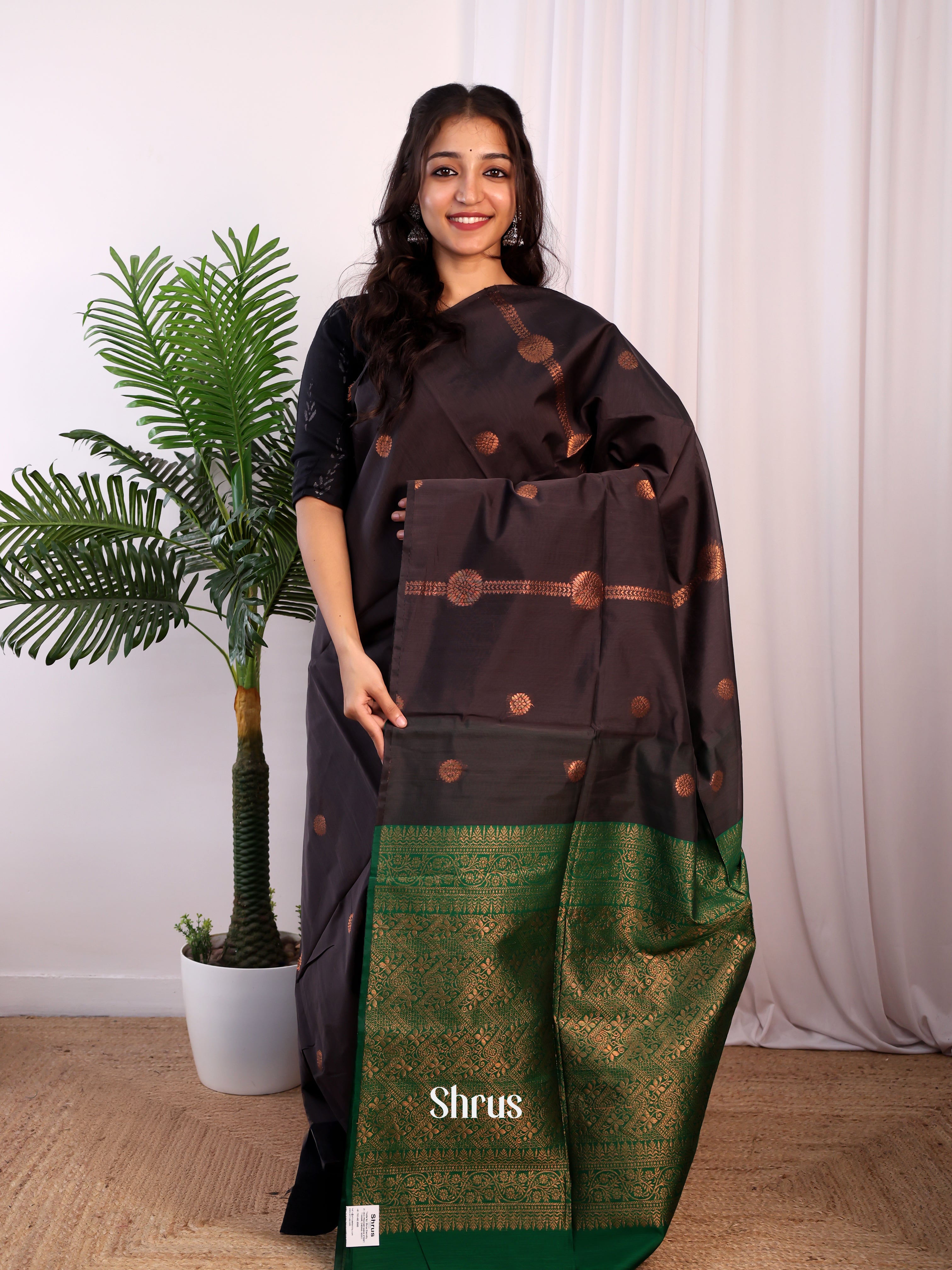 CJS17148 - Semi Silkcotton Saree