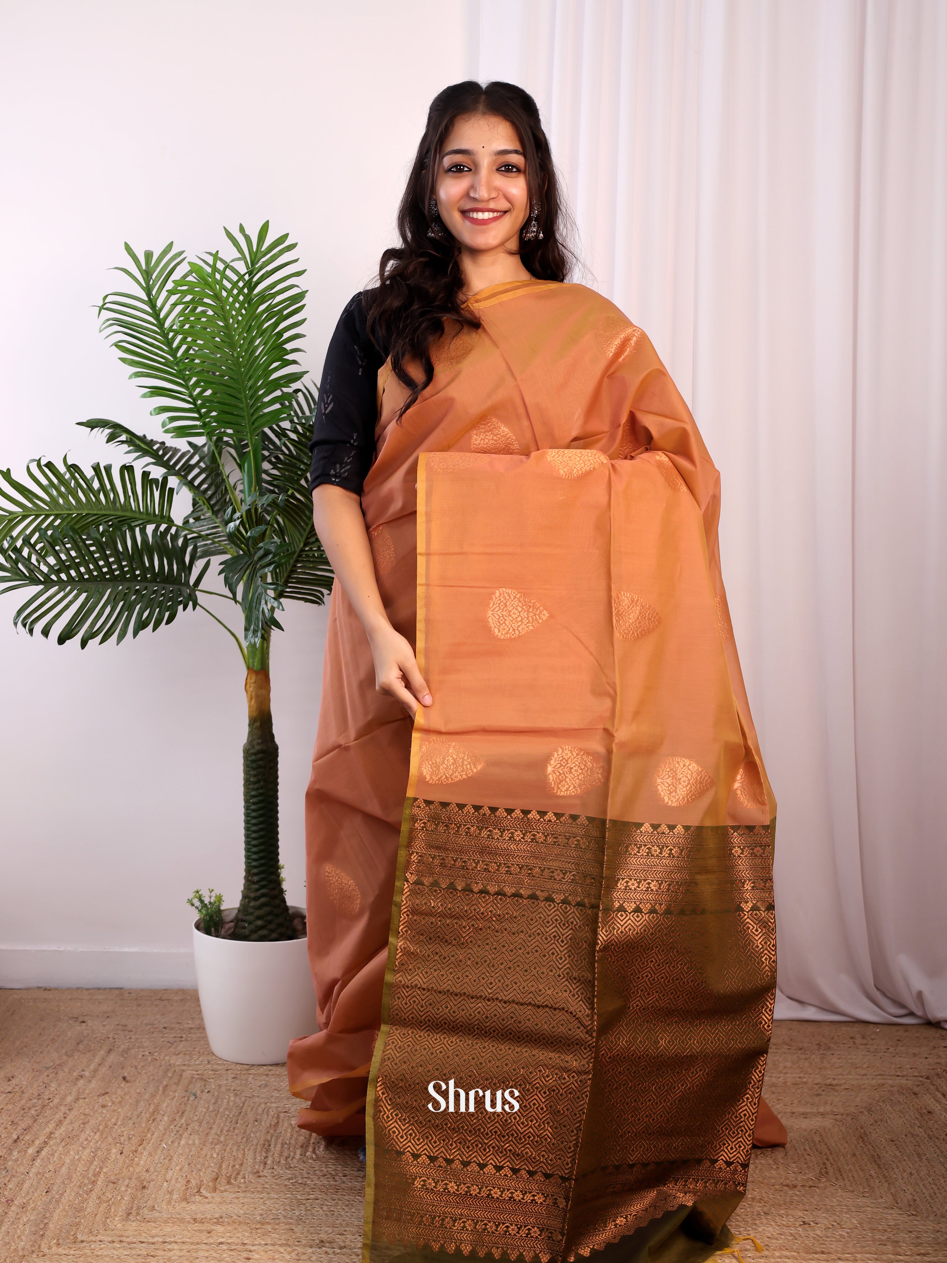 CJS17178 - Semi Silkcotton Saree