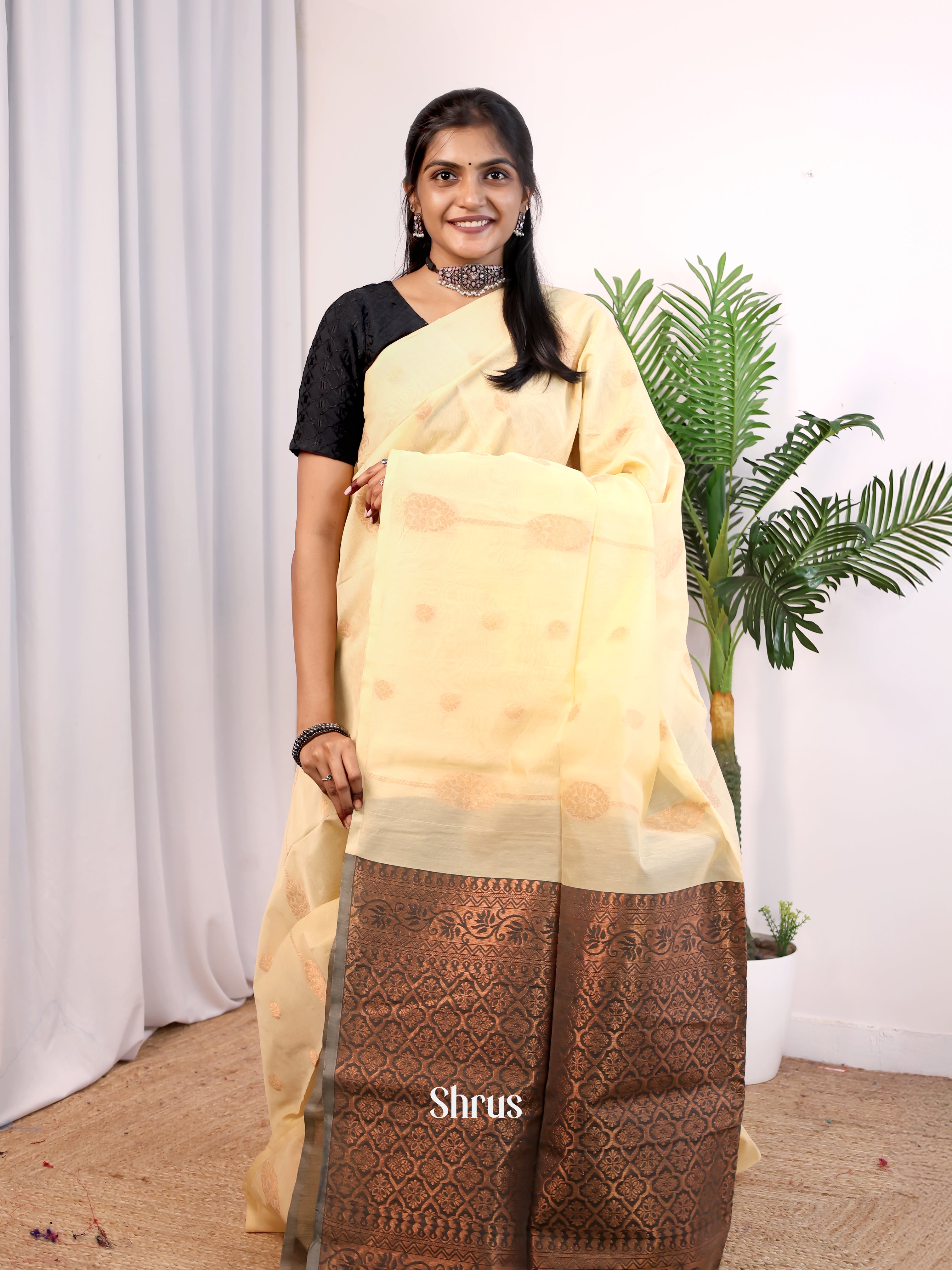 Cream & Grey - Semi Silkcotton Saree