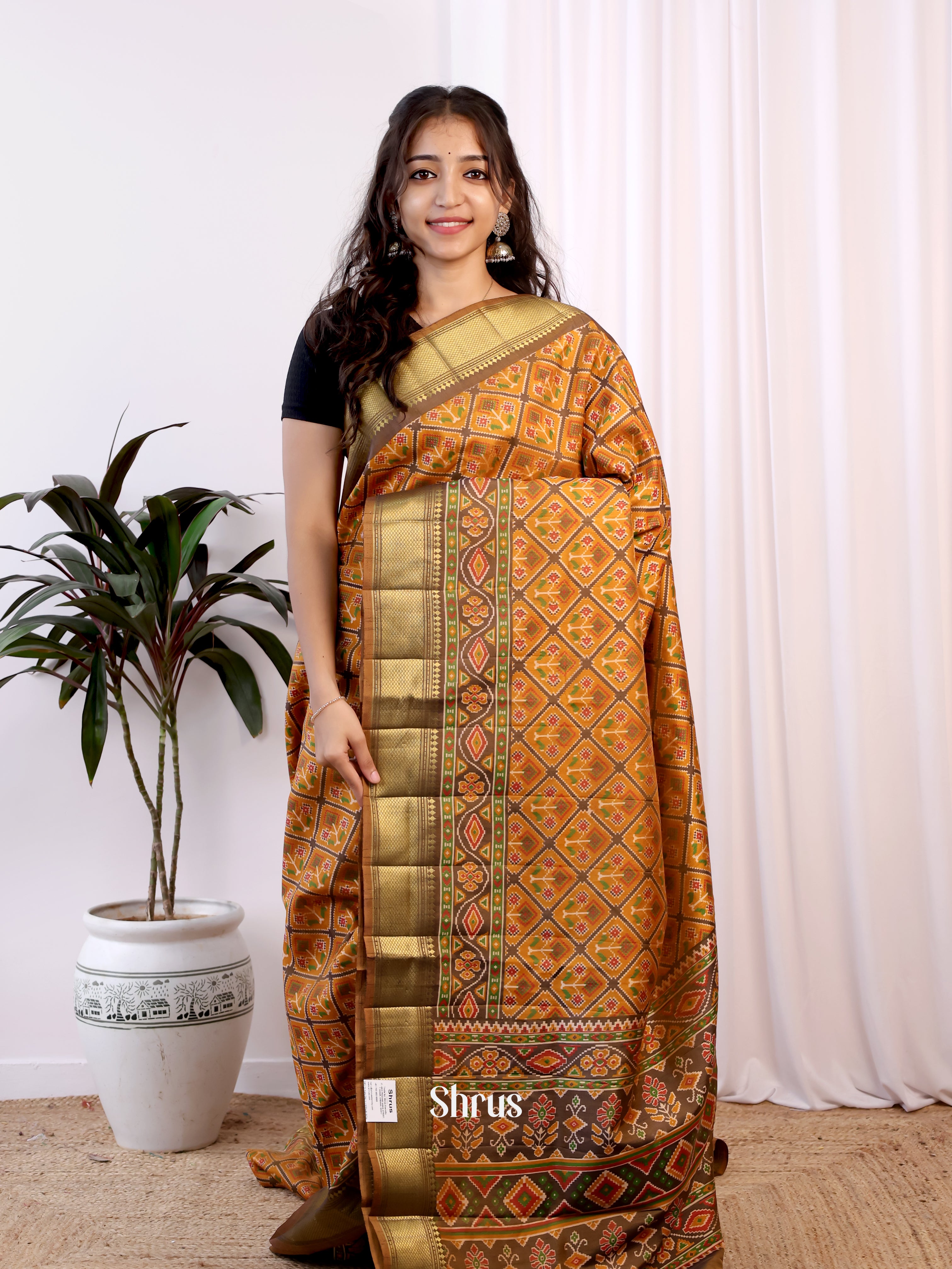 Brown - Semi Patola Saree