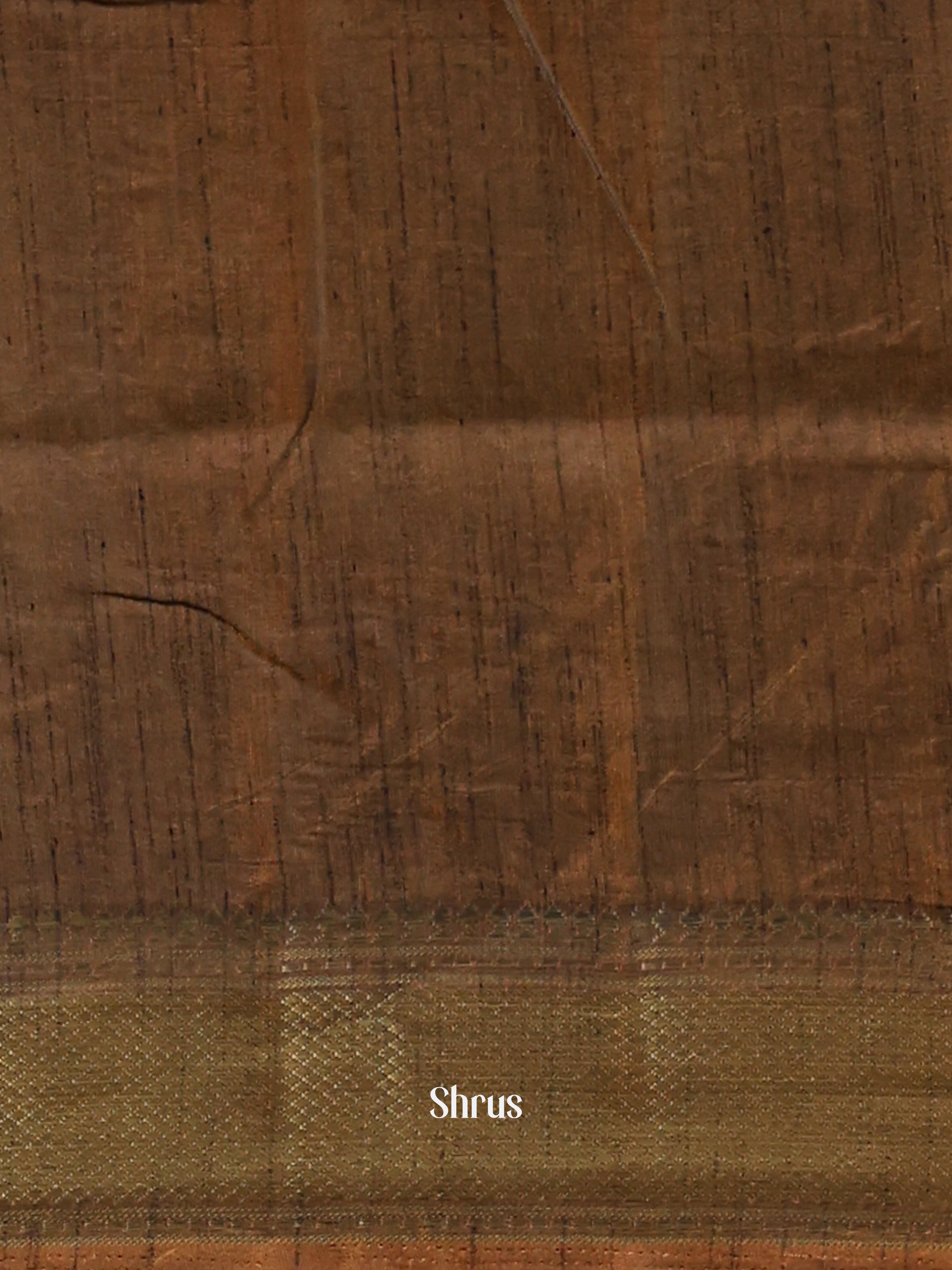 Brown - Semi Patola Saree