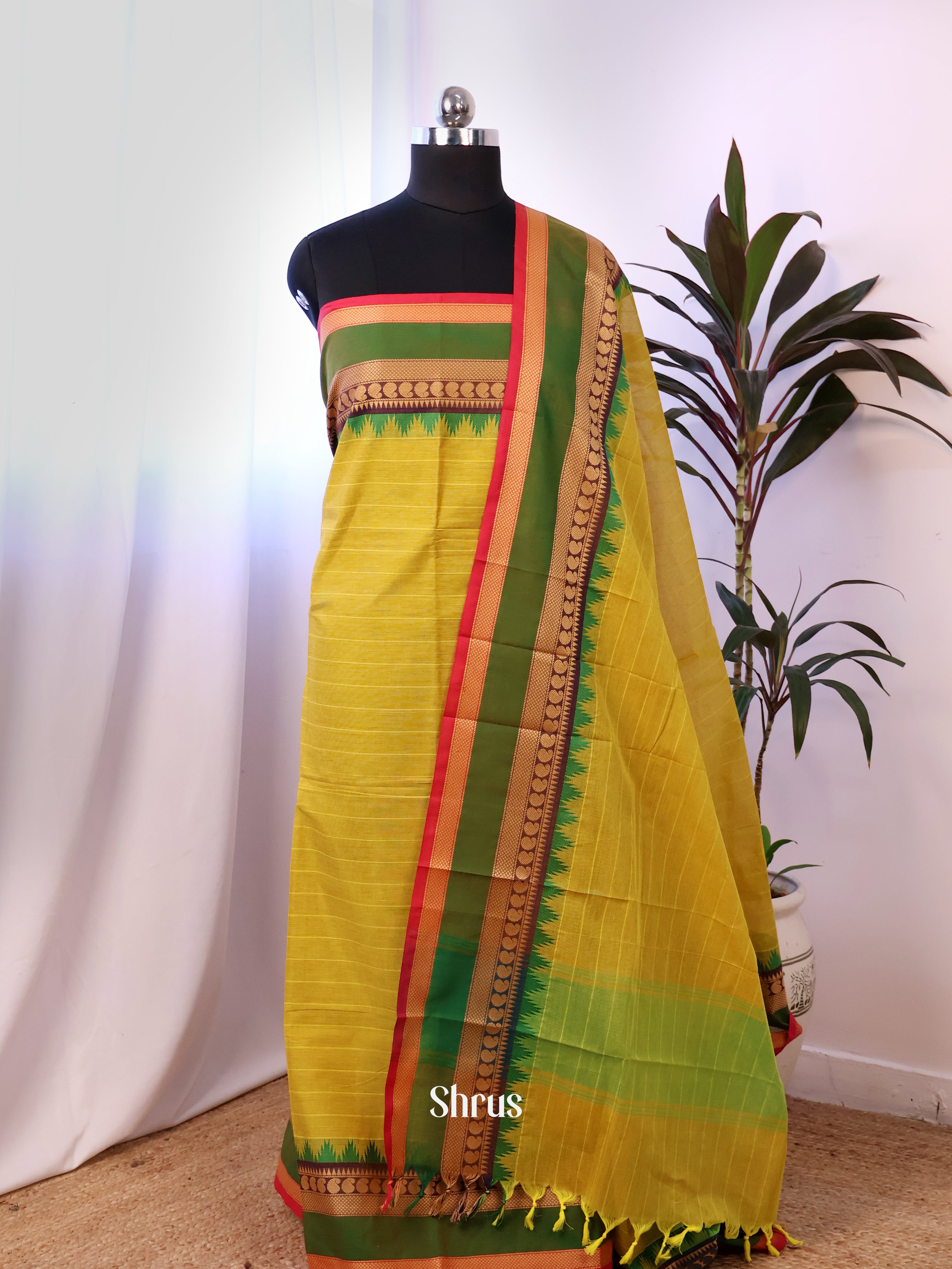 CJS18264 - chettinad top & dupatta combo