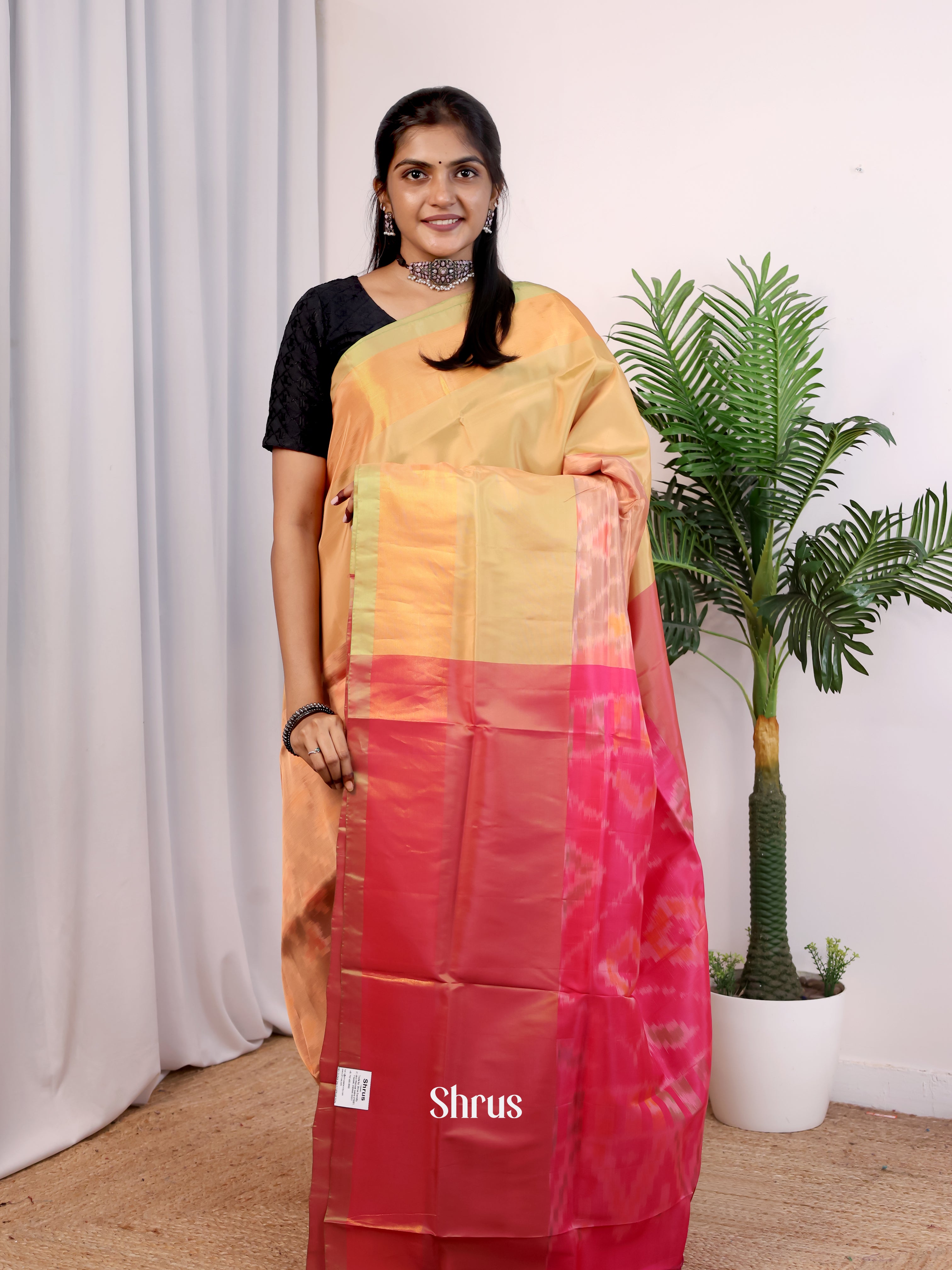 CJS21193 - Semi uppada Saree