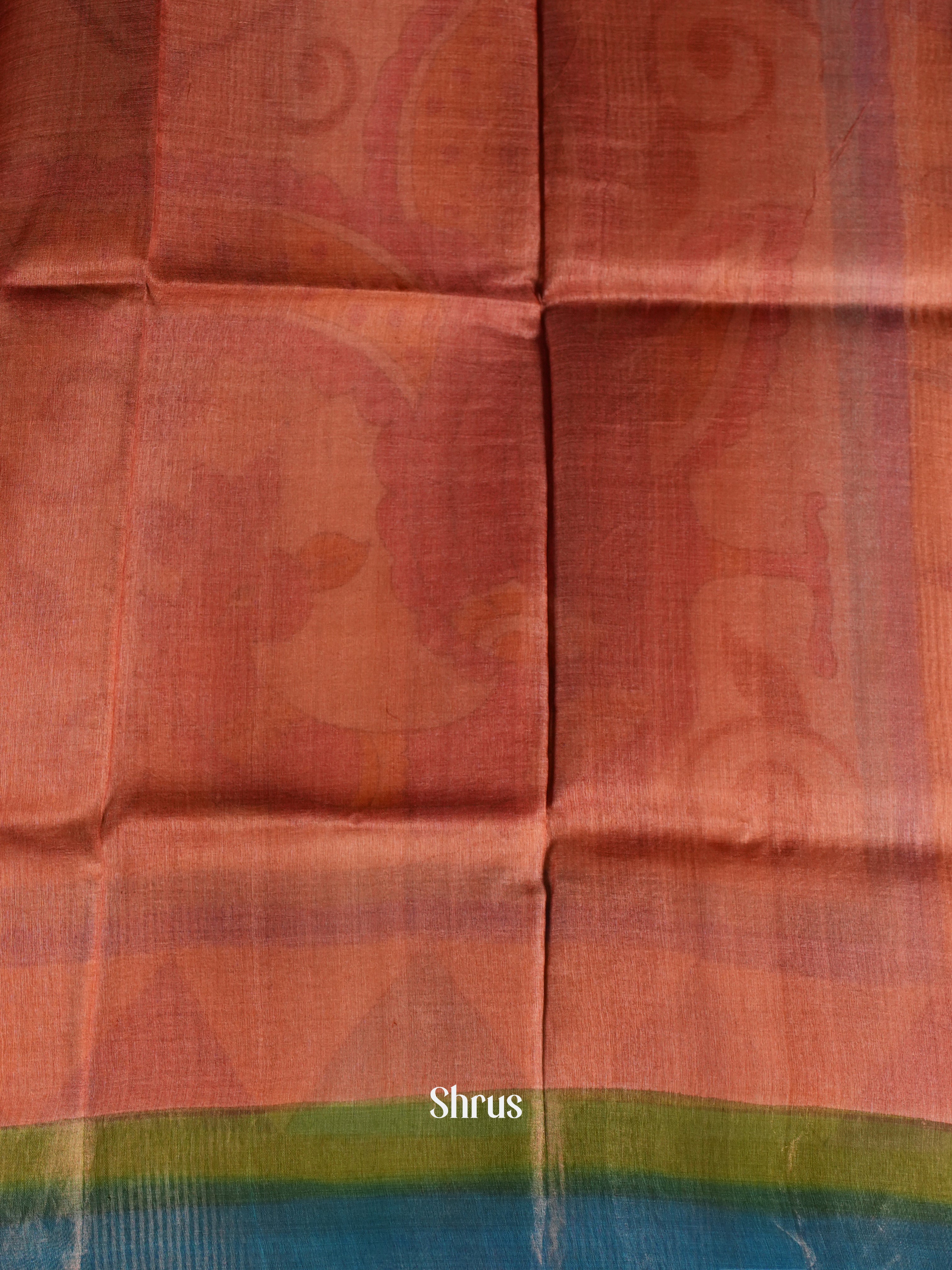 Brown & Blue - Tussar Saree