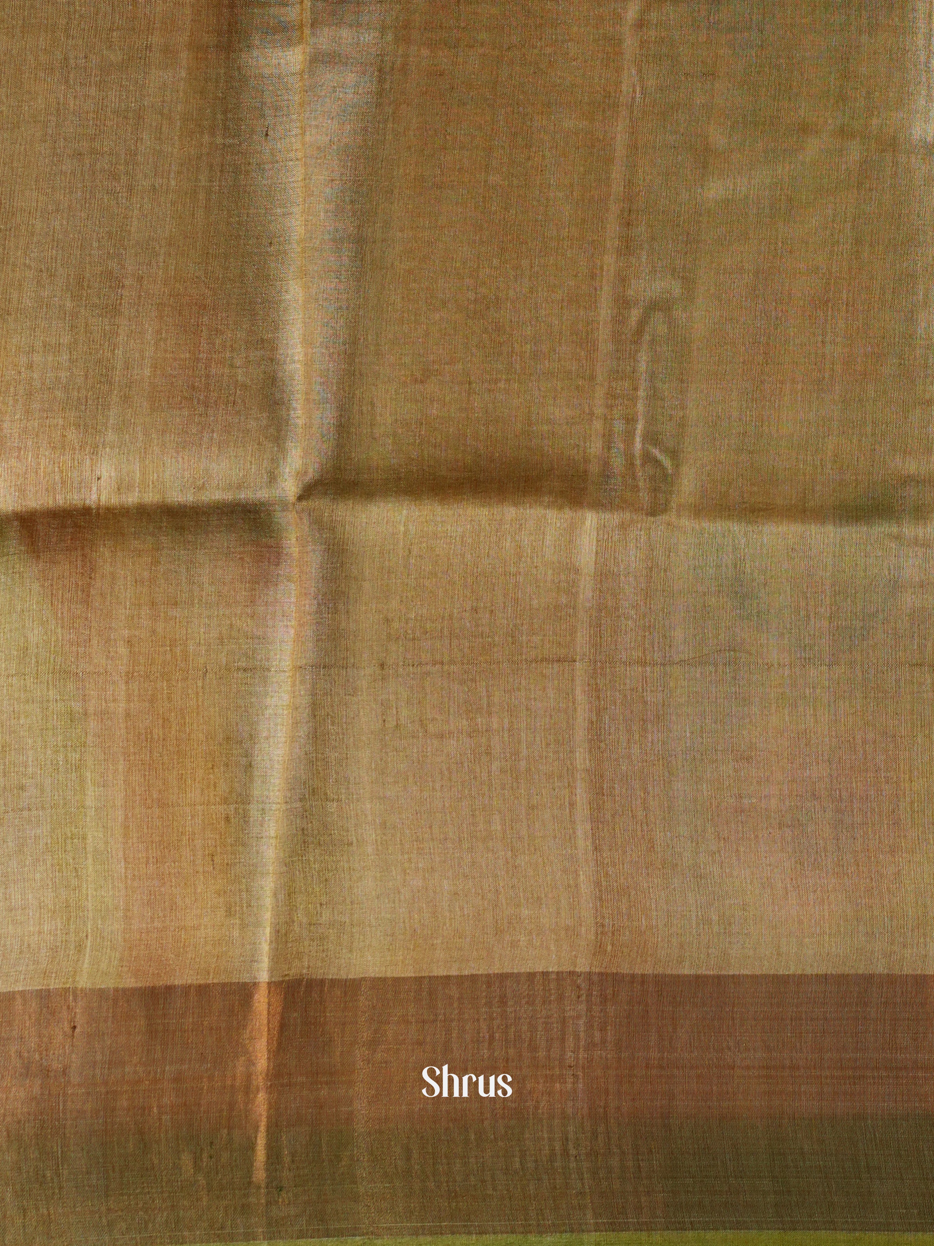 Gold & Grey - Tussar Saree