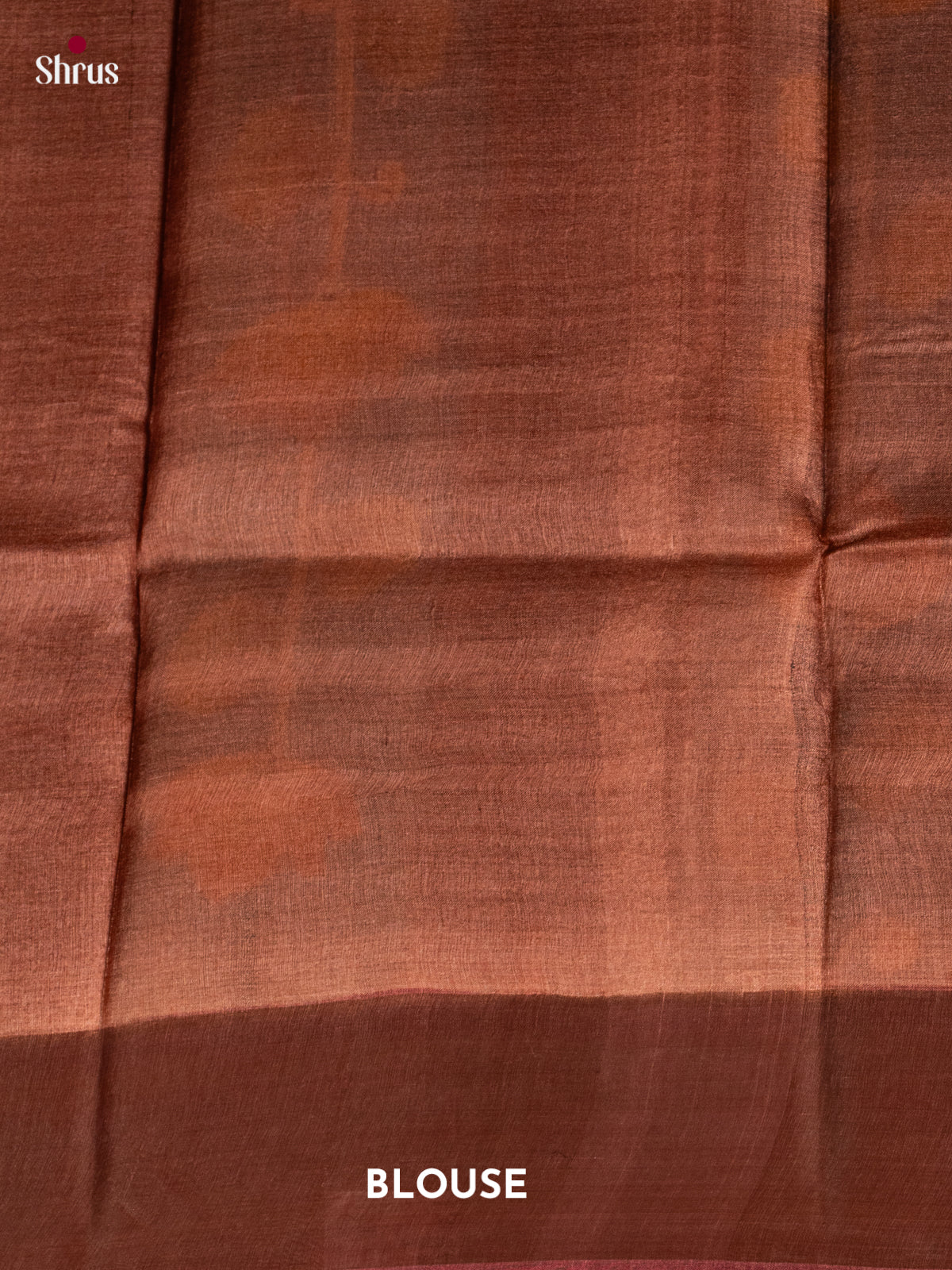 Brown & Blue - Tussar Saree