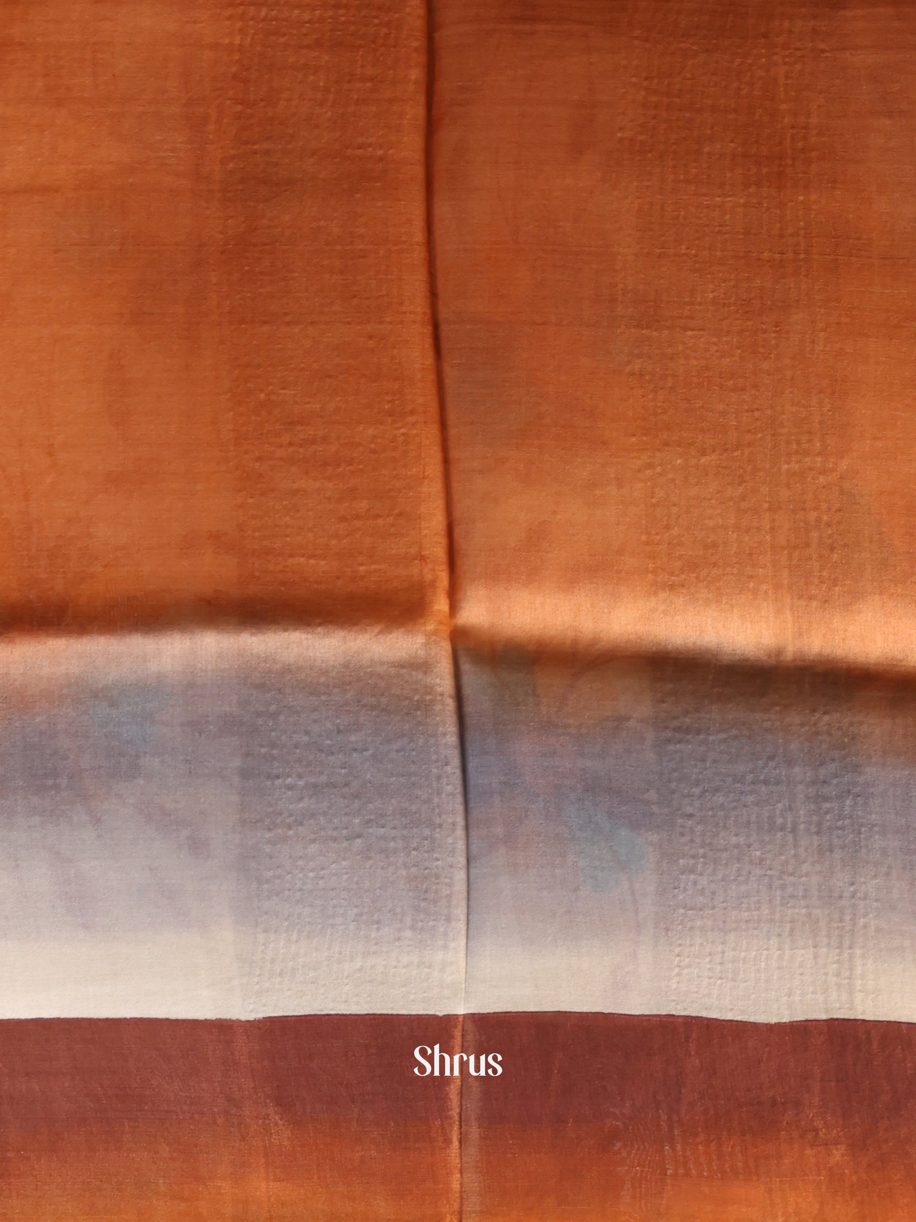 Cream & Grey - Tussar Saree