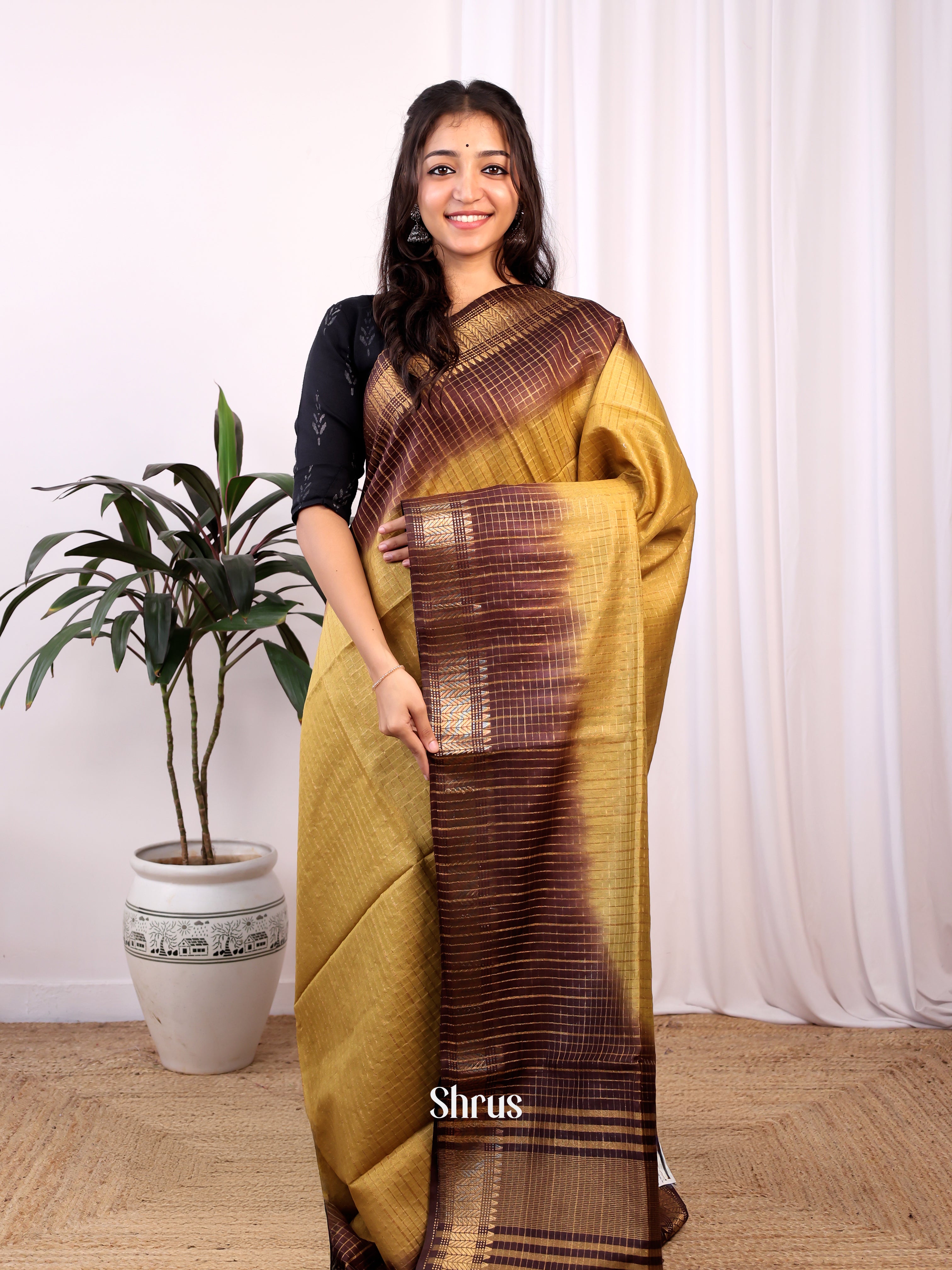 Beige  & Brown- Semi Tussar Saree