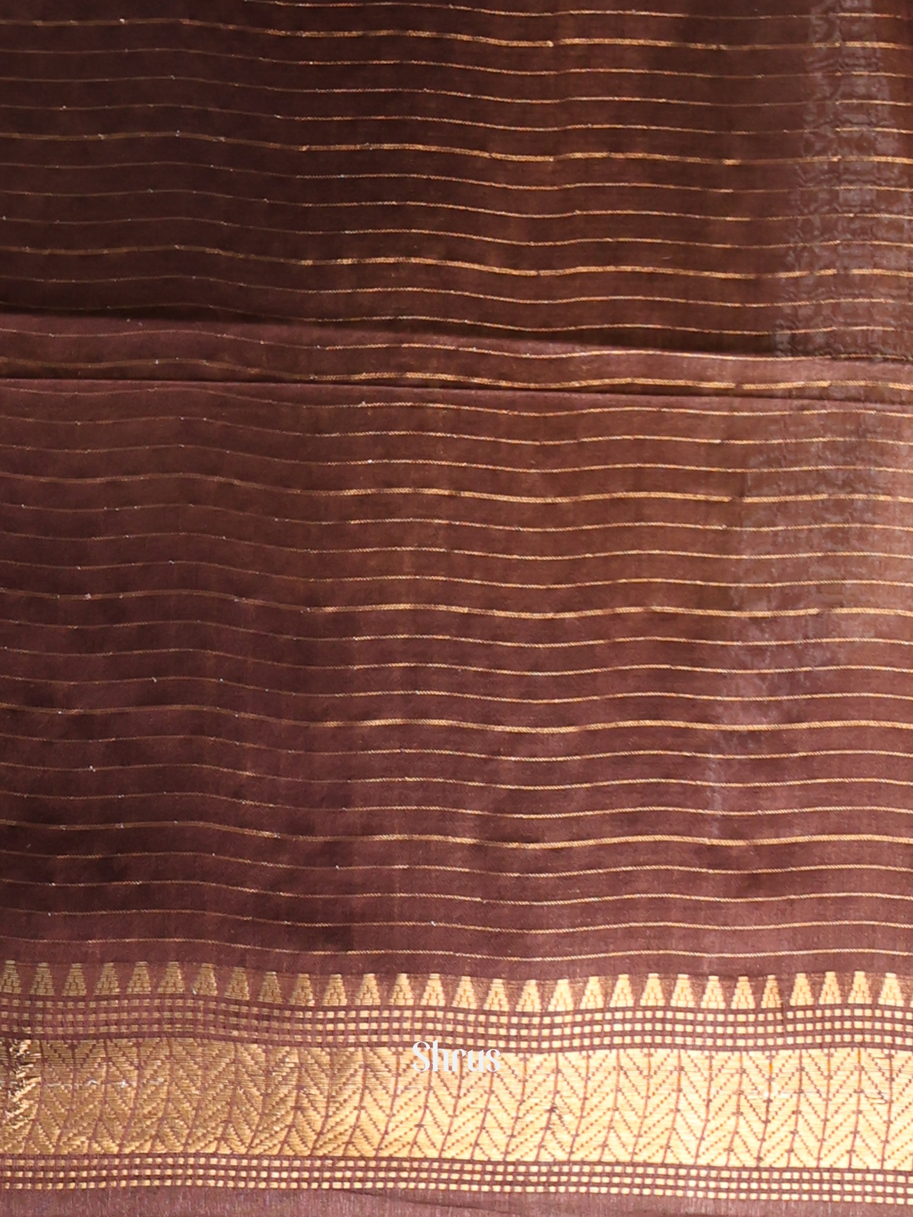 Beige  & Brown- Semi Tussar Saree