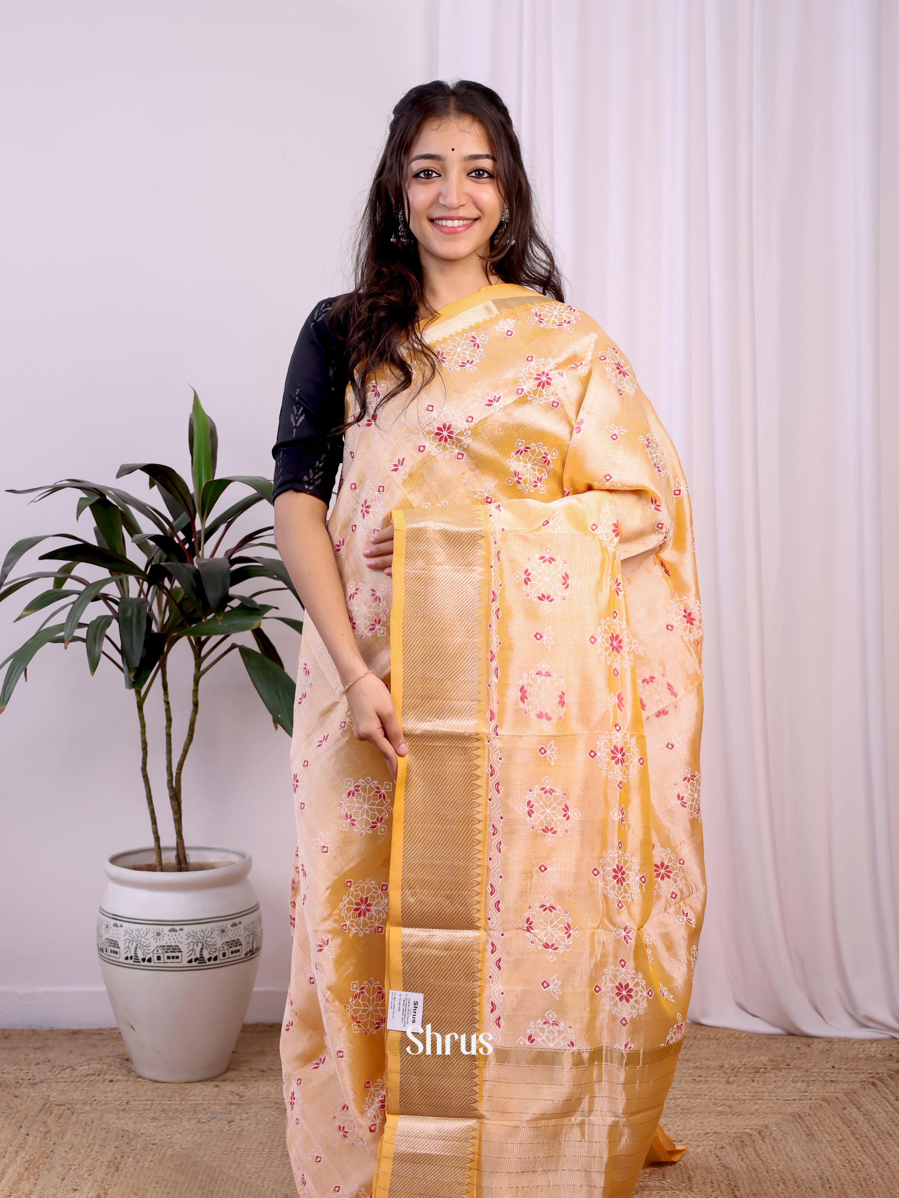 CJS24137 - Mangalagiri silkcotton Saree