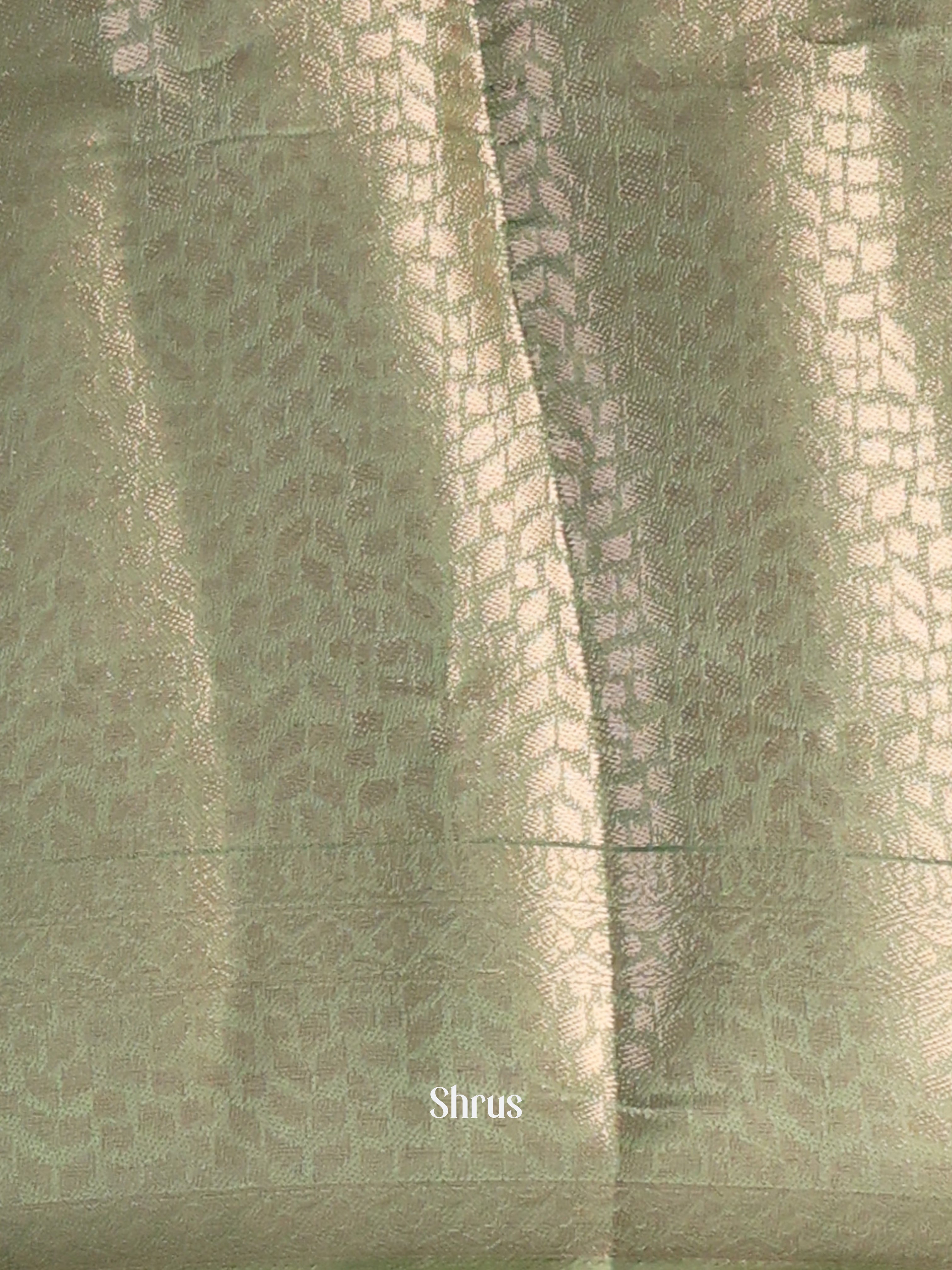 Cream & Lite  Green- Printed chanderi Saree