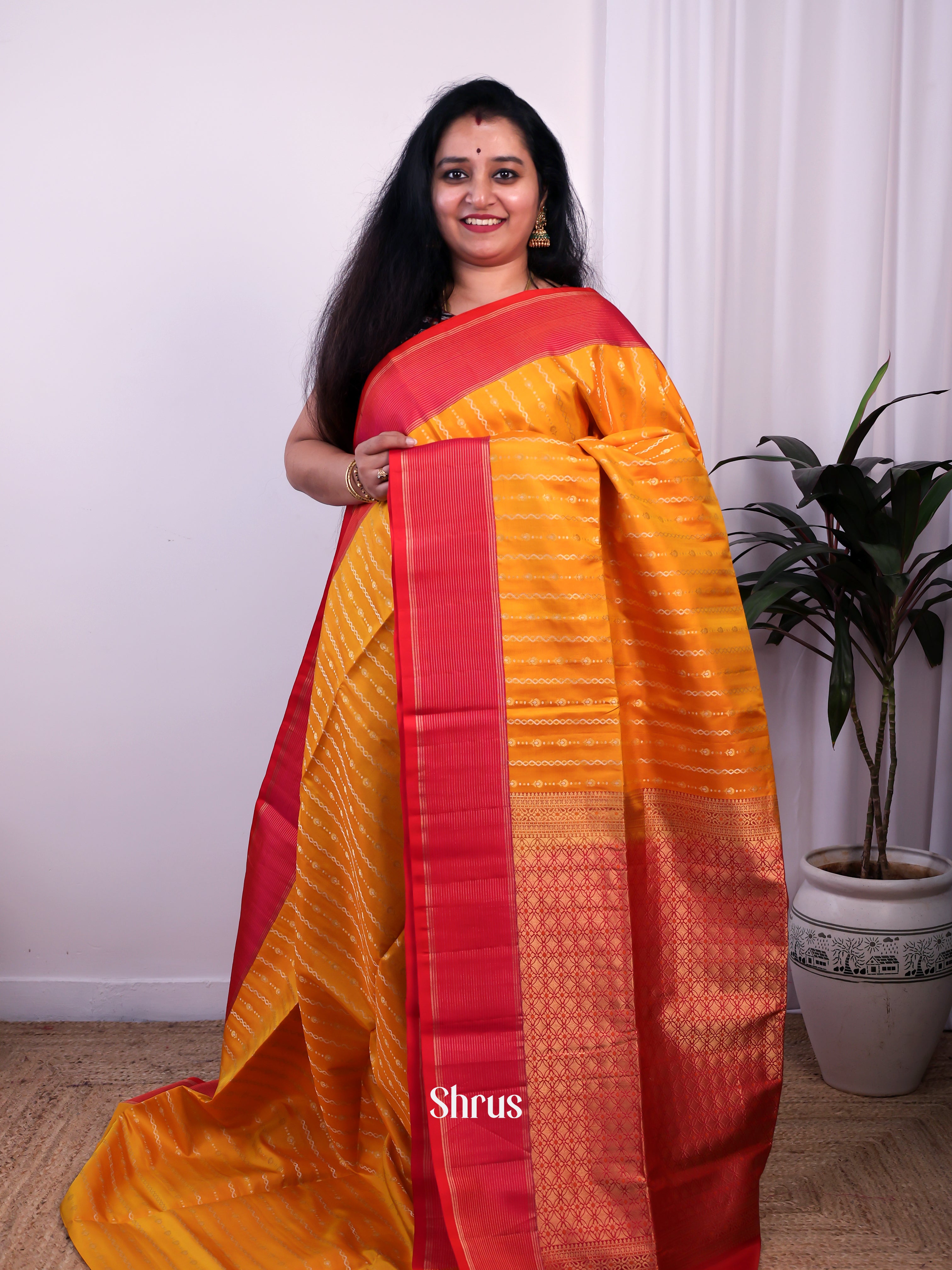 CJS24481 - Soft Silk Saree