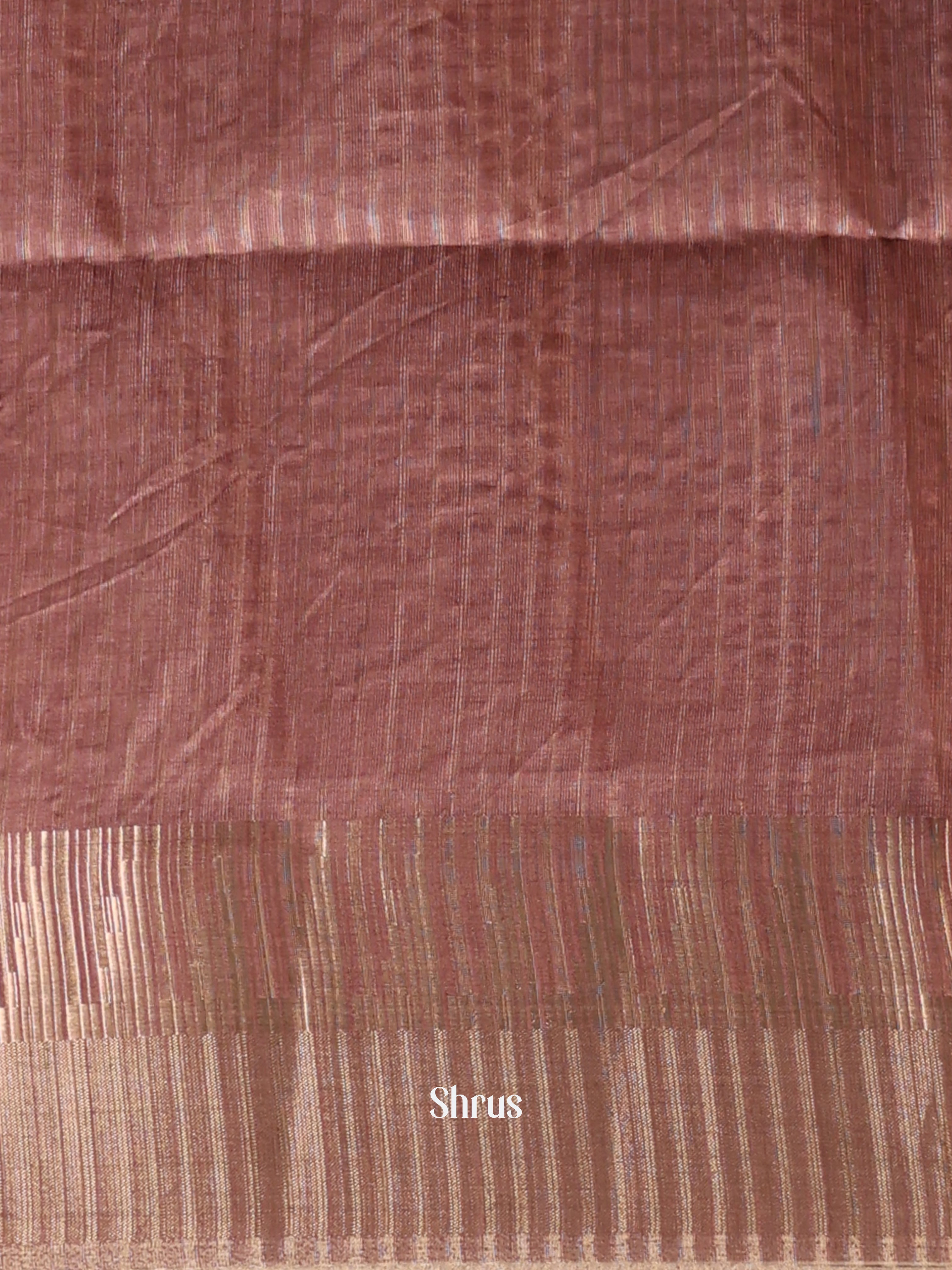 Brown - Semi Tussar Saree