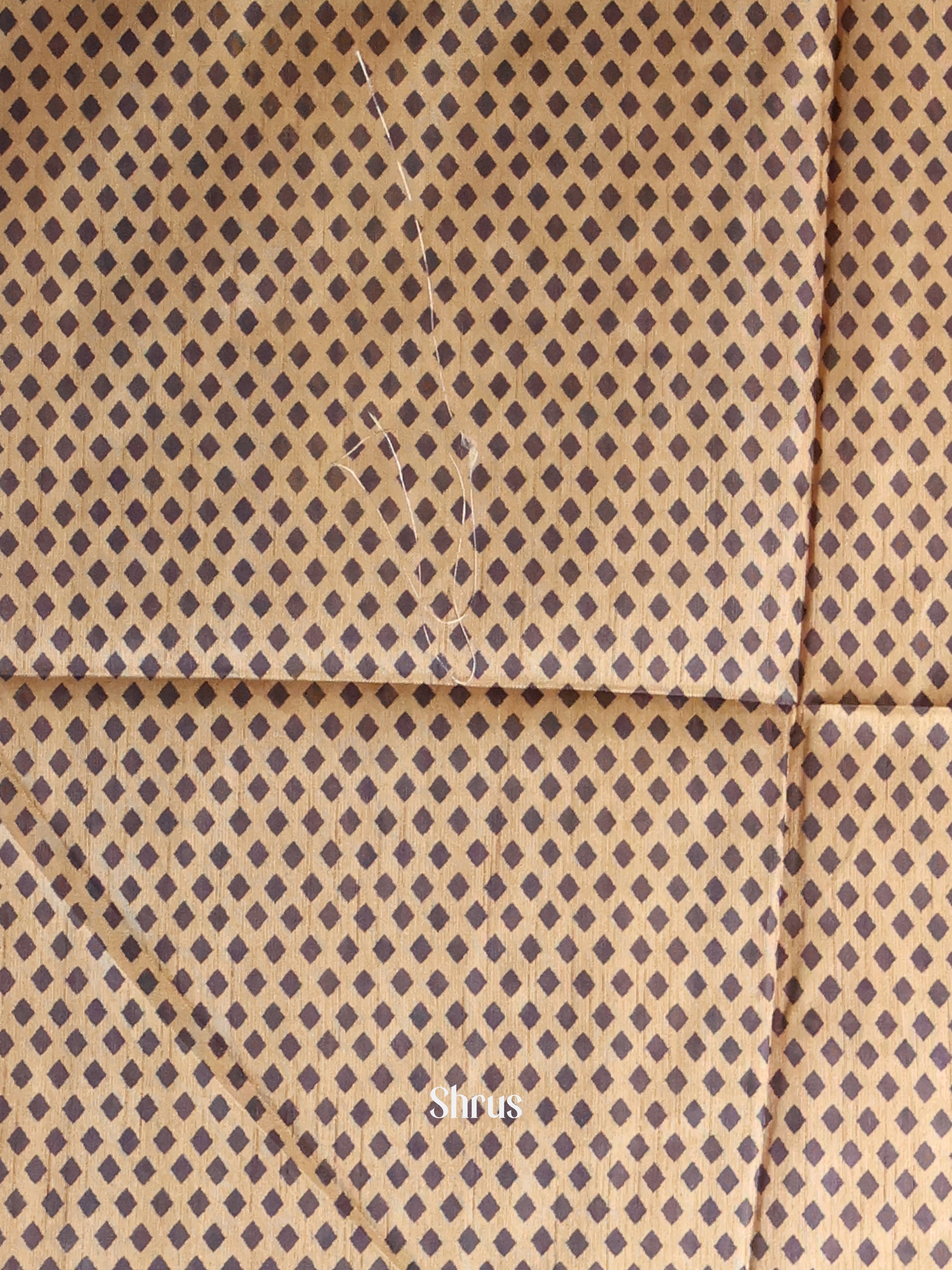 Brown - Champa semitussar Saree