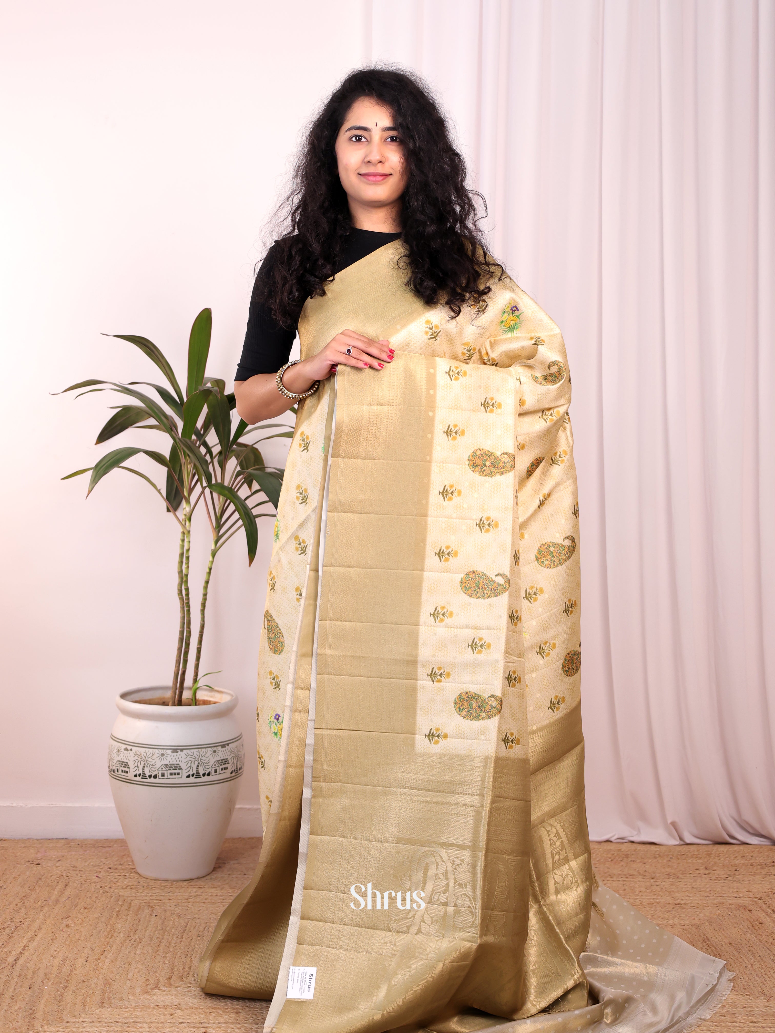 Cream & Beige - Semi Georgette Saree