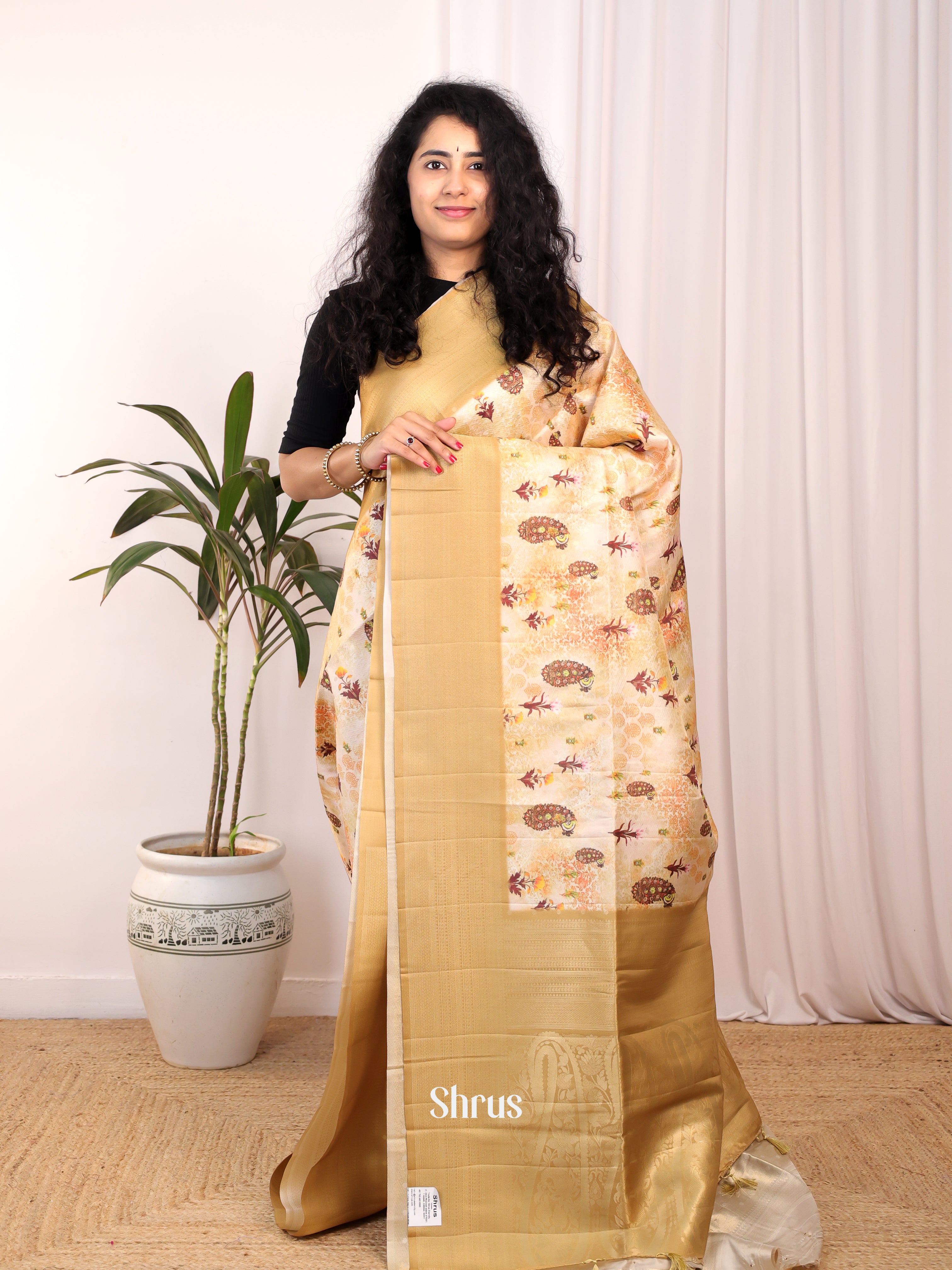 Cream & Beige - Semi Georgette Saree