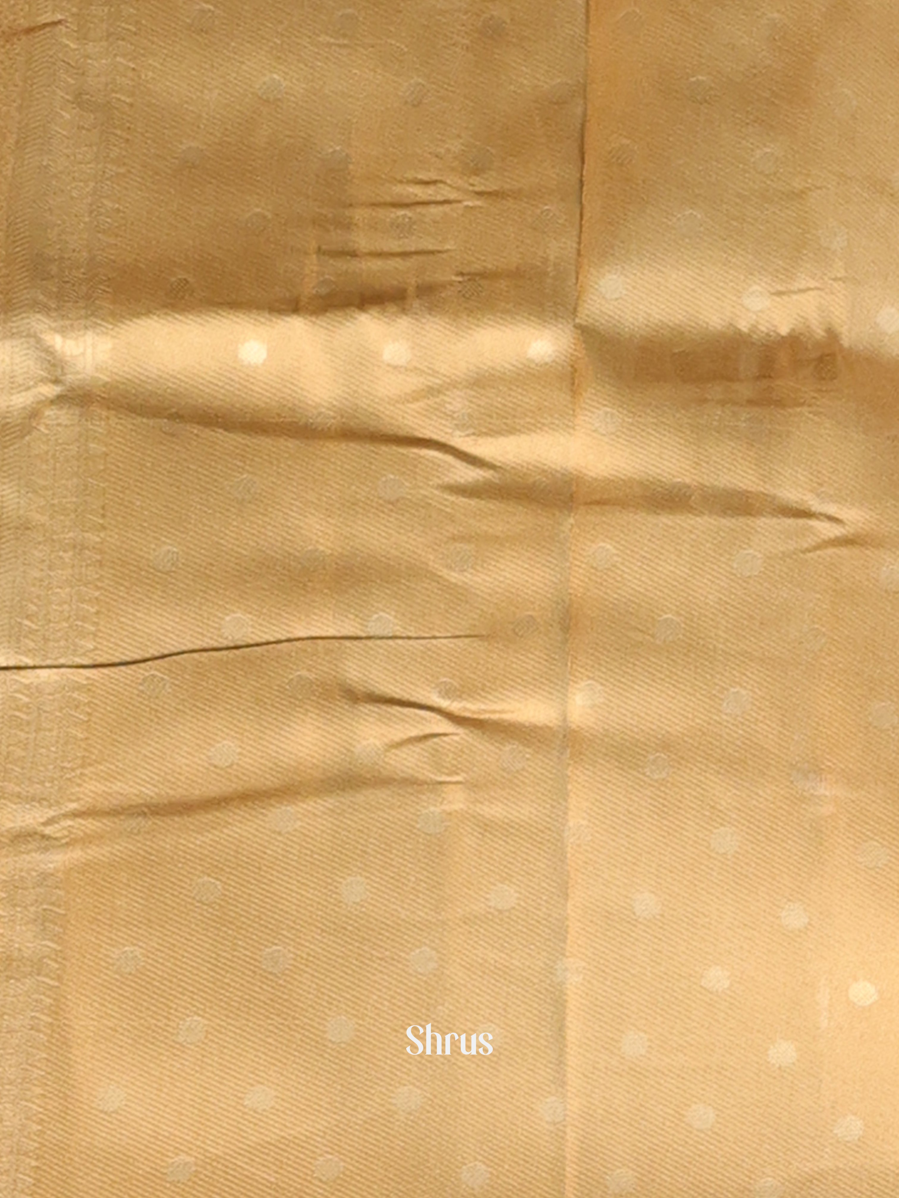 Cream & Beige - Semi Georgette Saree