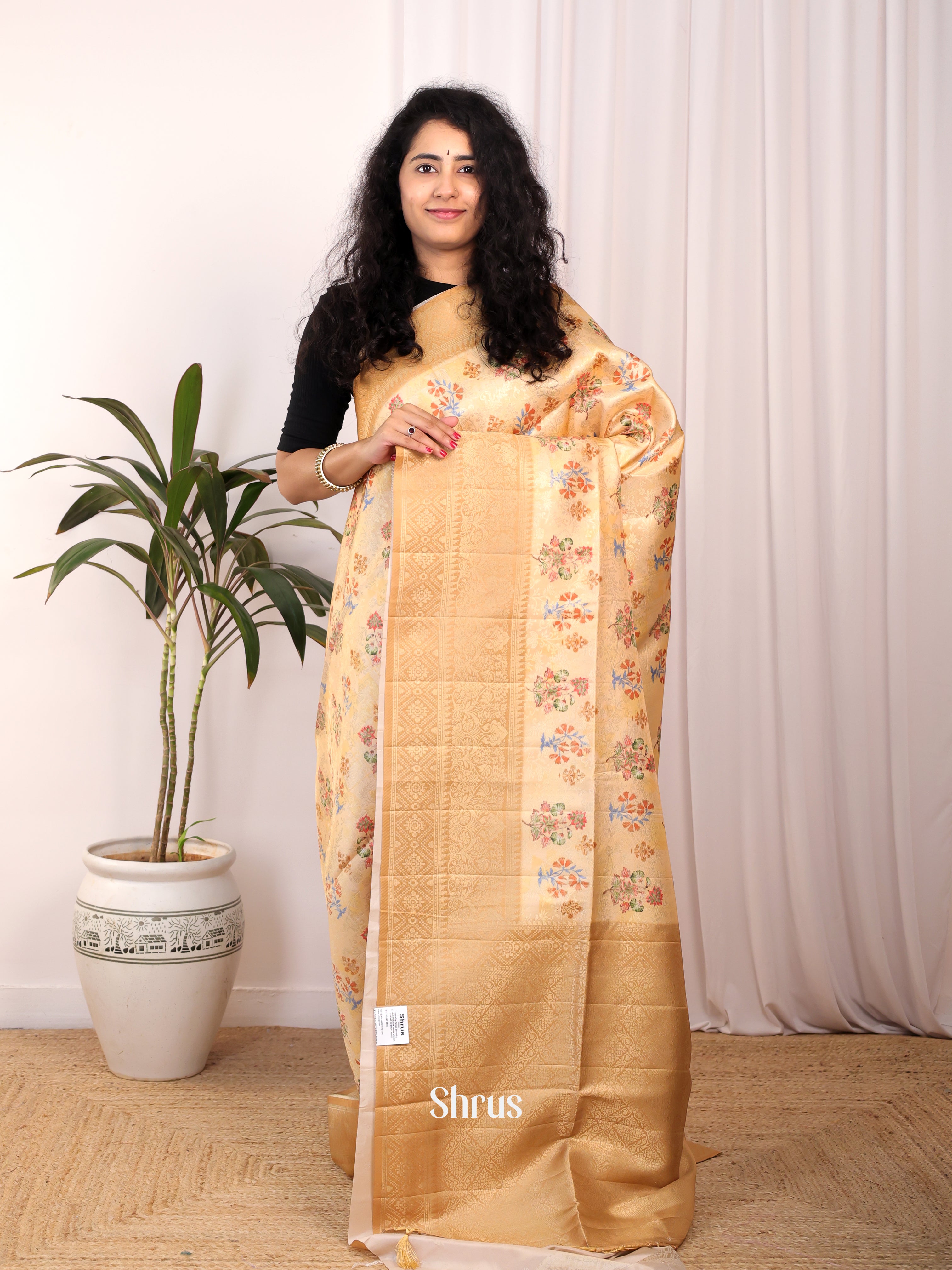 Cream & Beige - Semi Georgette Saree